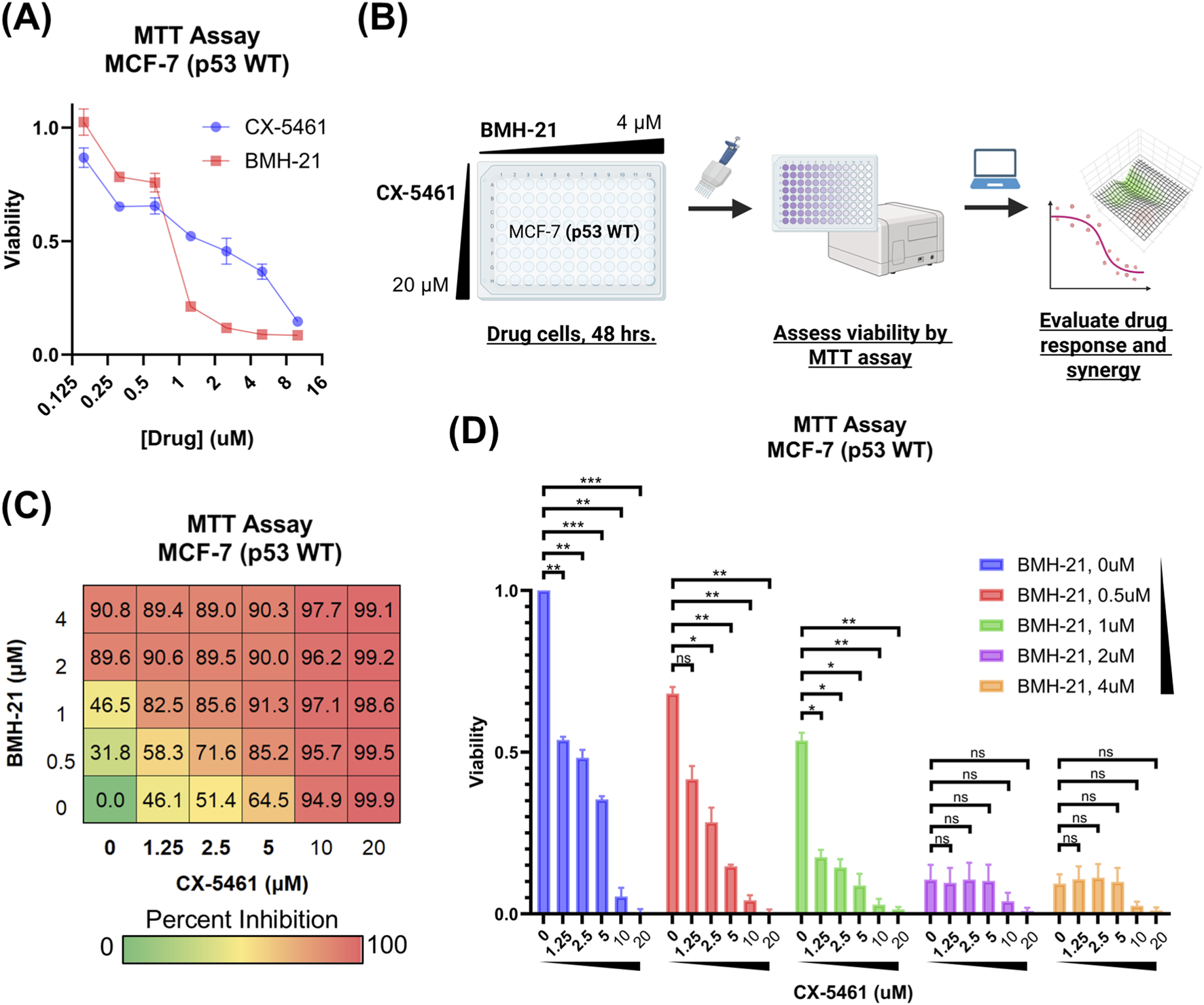 MTT assay results for MCF-7 (p53 WT) cells. (A) Line graph showing cell viability decreasing with increasing concentrations of CX-5461 and BMH-21. (B) Illustration of experimental procedure for assessing drug response using MTT assay. (C) Heatmap indicating percent inhibition of cell viability at various concentrations of CX-5461 and BMH-21. (D) Bar graph comparing viability at different concentrations of CX-5461 combined with varying doses of BMH-21, displaying statistical significance with asterisks.