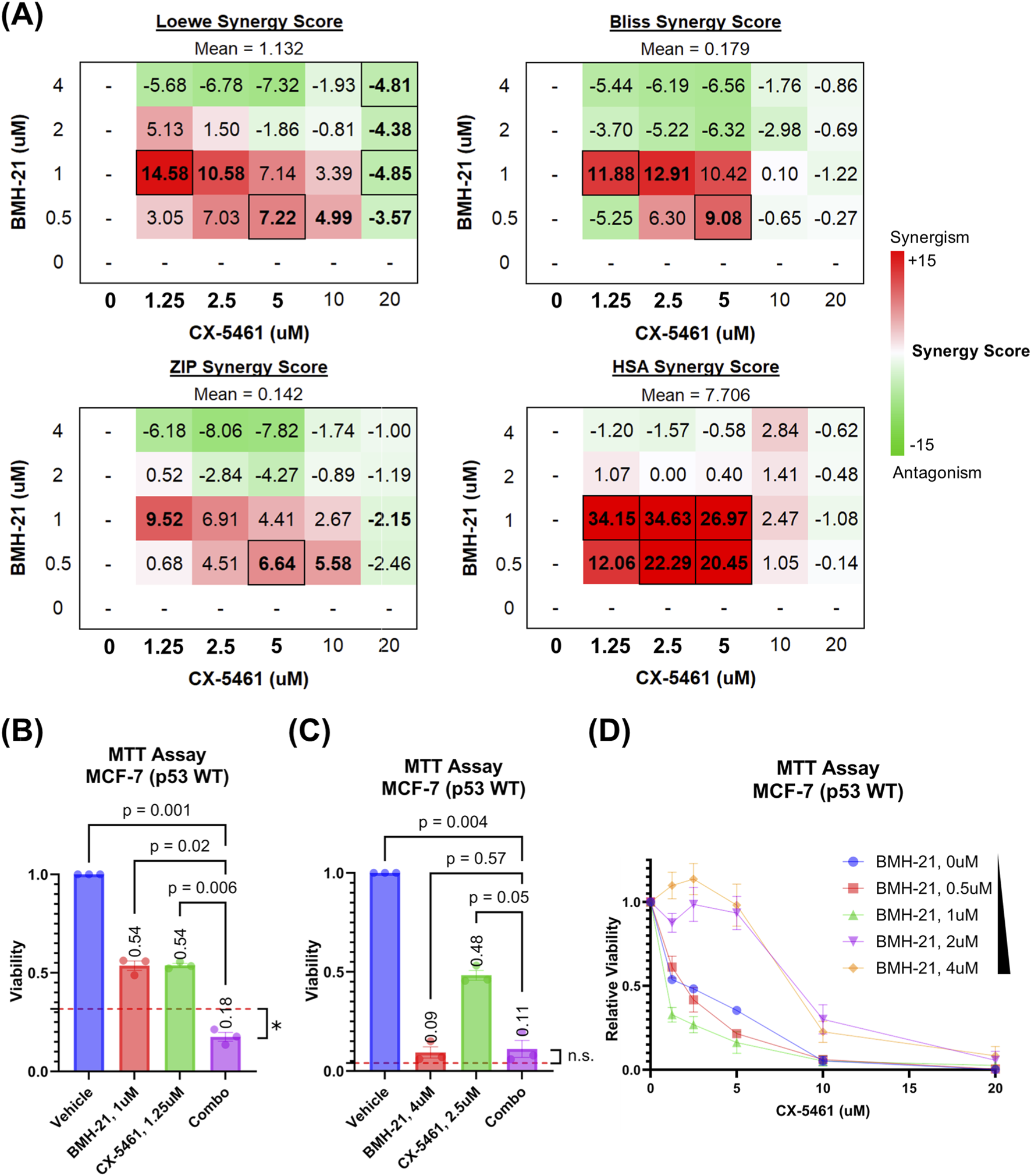 Figure A contains four heatmaps illustrating synergy scores between drugs CX-5461 and BMH-21 using Loewe, Bliss, ZIP, and HSA models, with color gradients indicating synergy (red) and antagonism (green). Figure B and C display MTT assay bar graphs showing viability of MCF-7 (p53 WT) cells treated with various concentrations of BMH-21 and CX-5461, highlighting statistical significance. Figure D presents a line graph of relative viability of MCF-7 (p53 WT) cells against different concentrations of CX-5461, with multiple lines representing various BMH-21 concentrations. Error bars illustrate standard deviation.