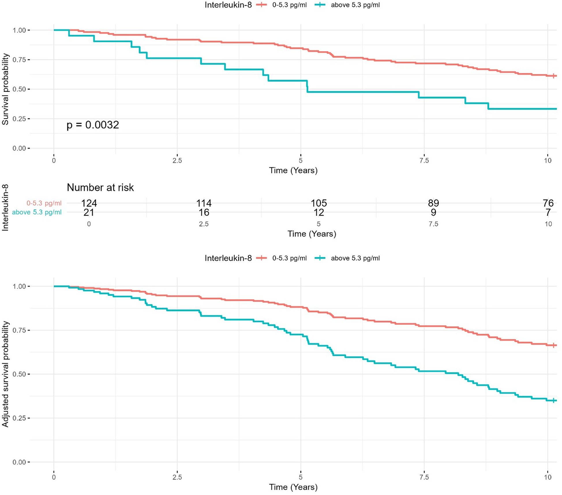 Two Kaplan-Meier survival plots showing survival probability over ten years based on Interleukin-8 levels. The first plot shows survival probability, with a p-value of 0.0032, contrasting two groups: one with Interleukin-8 levels between zero and 5.3 pg/ml, and another above 5.3 pg/ml. The second plot depicts adjusted survival probability for the same groups, showing a similar trend. Below the first plot is a table detailing the number at risk at various time points for each group.