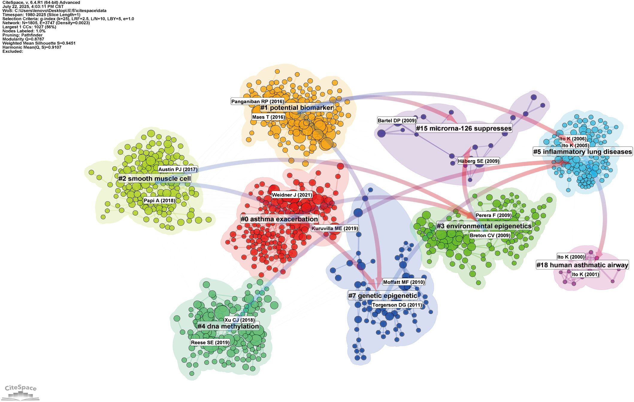 Network visualization of research topics related to asthma and epigenetics. Clusters represent themes like “asthma exacerbation,” “smooth muscle cell,” and “environmental epigenetics,” connected by lines indicating relationships. Each cluster contains labeled nodes with author names and publication years, highlighting key studies. Colors differentiate topics, suggesting thematic groupings and interconnections in the research area.
