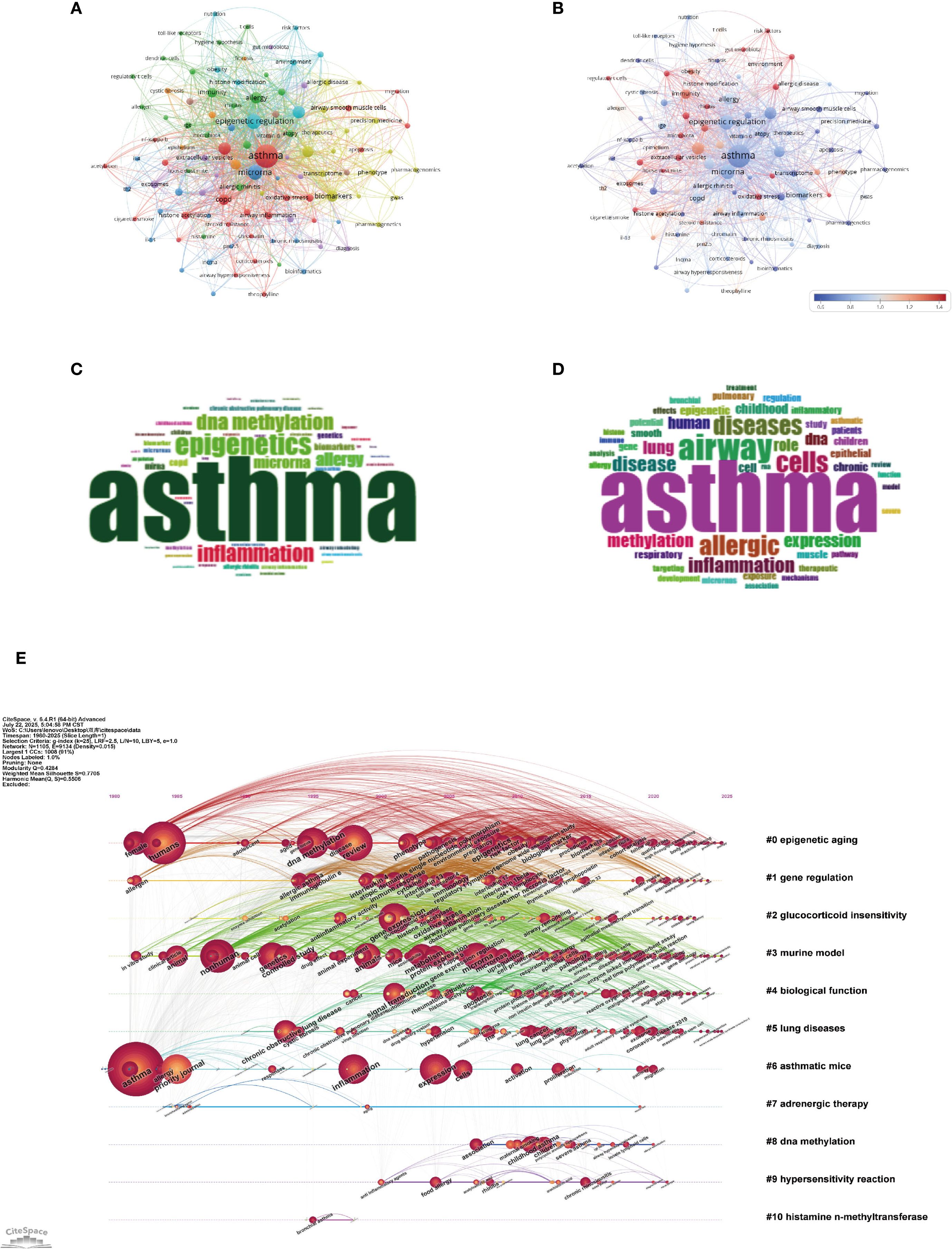 Five-part visual depicting asthma research analysis. Panel A shows a complex network graph with interconnected nodes, indicating relationships. Panel B features a similar network with nodes shaded in blue to red representing significance levels. Panel C is a word cloud highlighting “asthma” and “inflammation.” Panel D is another word cloud, featuring terms like “airway” and “cells.” Panel E displays a timeline visualization with colored pathways and labeled clusters, detailing research topics and their evolution from 1998 to 2022.