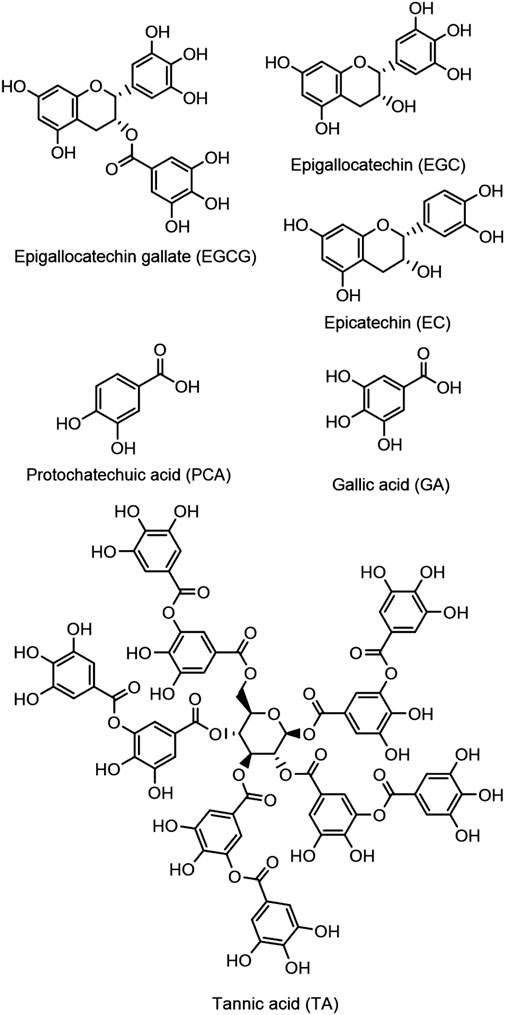 Chemical structures of six compounds: Epigallocatechin gallate (EGCG), Epigallocatechin (EGC), Epicatechin (EC), Protocatechuic acid (PCA), Gallic acid (GA), and Tannic acid (TA). Each structure depicts the molecular arrangement with hydroxyl groups and other functional groups specific to each compound.