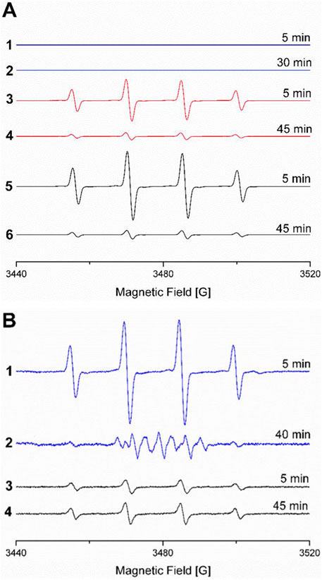 Graph A displays six sequences of EPR spectra across a magnetic field range from 3440 to 3520 Gauss, that show no radical at 1.7 molar ethanol and show DMPO-OH radical signals from Fe²⁺/H₂O₂ that increase in intensity with decreasing ethanol concentration (425 to 0 millimolar). Graph B shows four sequences of EPR spectra within the same magnetic field range, with DMPO-OH radical signals from Cu⁺/H₂O₂ that are visible at all ethanol concentrations (1.7 to 0 molar).