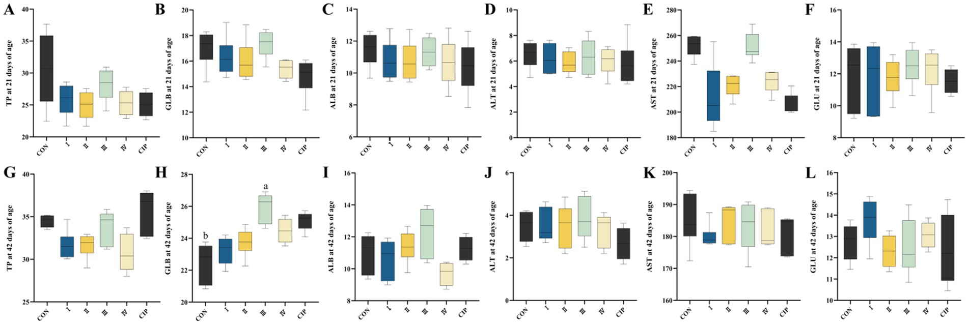 Twelve boxplots labeled A to L display various blood parameters at 21 and 42 days of age across different groups. Parameters include total protein (TP), globulin (GLB), albumin (ALB), alanine aminotransferase (ALT), aspartate aminotransferase (AST), and glucose (GLU). Each plot shows data for control (CON), and groups I through IV, plus CIP. Colors vary per group, with error bars showing variability.