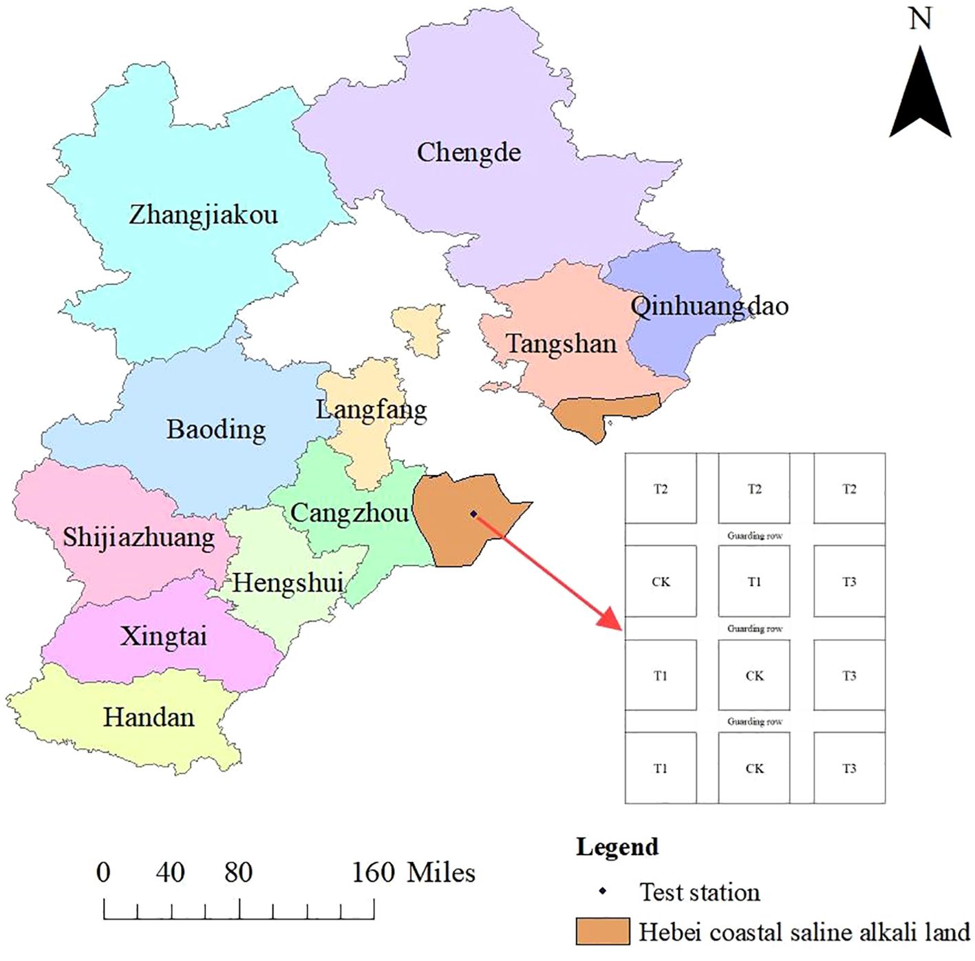 Map of Hebei, China highlighting various cities in different colors. A zoomed-in section shows a layout of test plots labeled T1, T2, T3, and CK, indicating a test station in Cangzhou. The legend identifies Hebei coastal saline alkali land and test station locations. A north directional arrow and a mileage scale are included.
