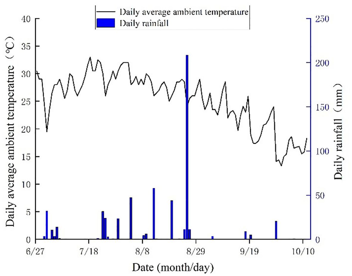 Graph showing daily average ambient temperature and rainfall from June 27 to October 10. The black line represents temperature in degrees Celsius, fluctuating between 20 and 35. The blue bars show rainfall in millimeters, peaking around August 29.