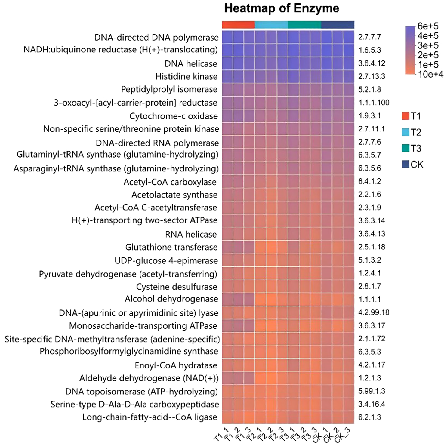 Heatmap of enzyme activity showing various enzymes listed vertically with corresponding EC numbers. Horizontal axis represents sample types T1, T2, T3, and CK. Color scale ranges from blue to red indicating enzyme activity levels from 10,000 to 600,000.