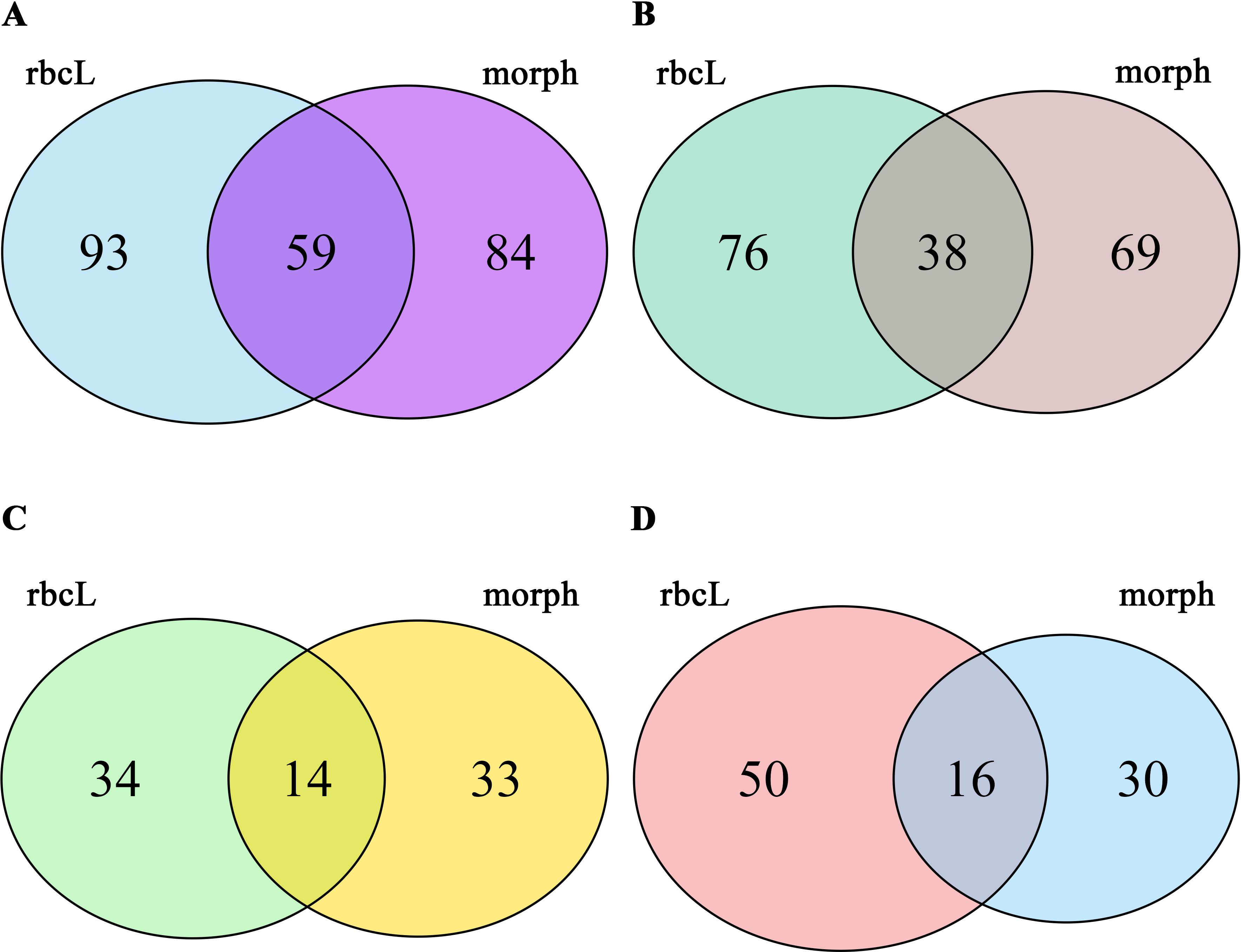 Four Venn diagrams labeled A, B, C, and D compare rbcL and morph. In A, rbcL has 93, morph 84, overlap 59. In B, rbcL has 76, morph 69, overlap 38. In C, rbcL has 34, morph 33, overlap 14. In D, rbcL has 50, morph 30, overlap 16.