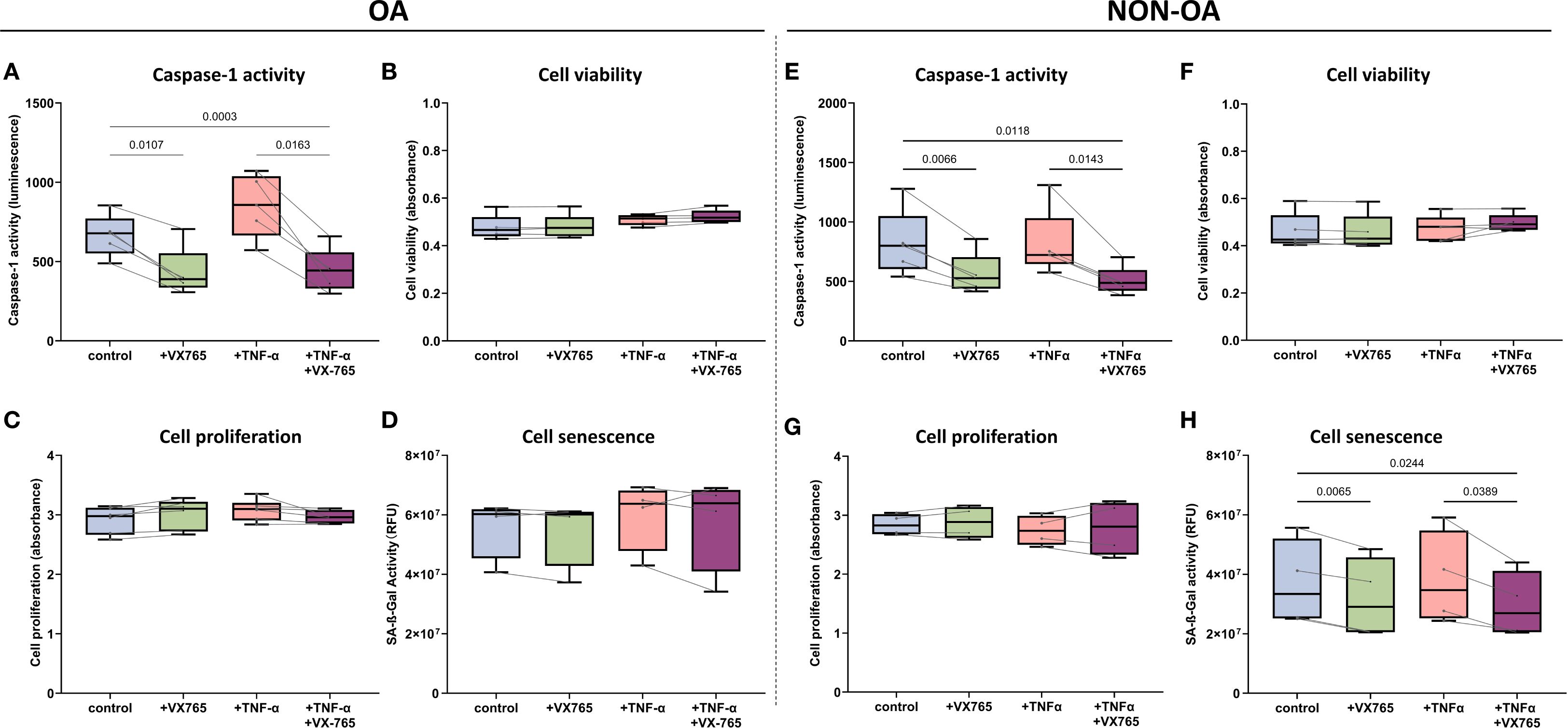 Box plots show the effects of different treatments on cell parameters in OA and non-OA samples. Caspase-1 activity, cell viability, proliferation, and senescence are measured under conditions: control, VX765, TNF-α, and TNF-α with VX765. Statistical significance is indicated for specific comparisons. Each parameter is illustrated separately for OA (A-D) and non-OA (E-H) samples.