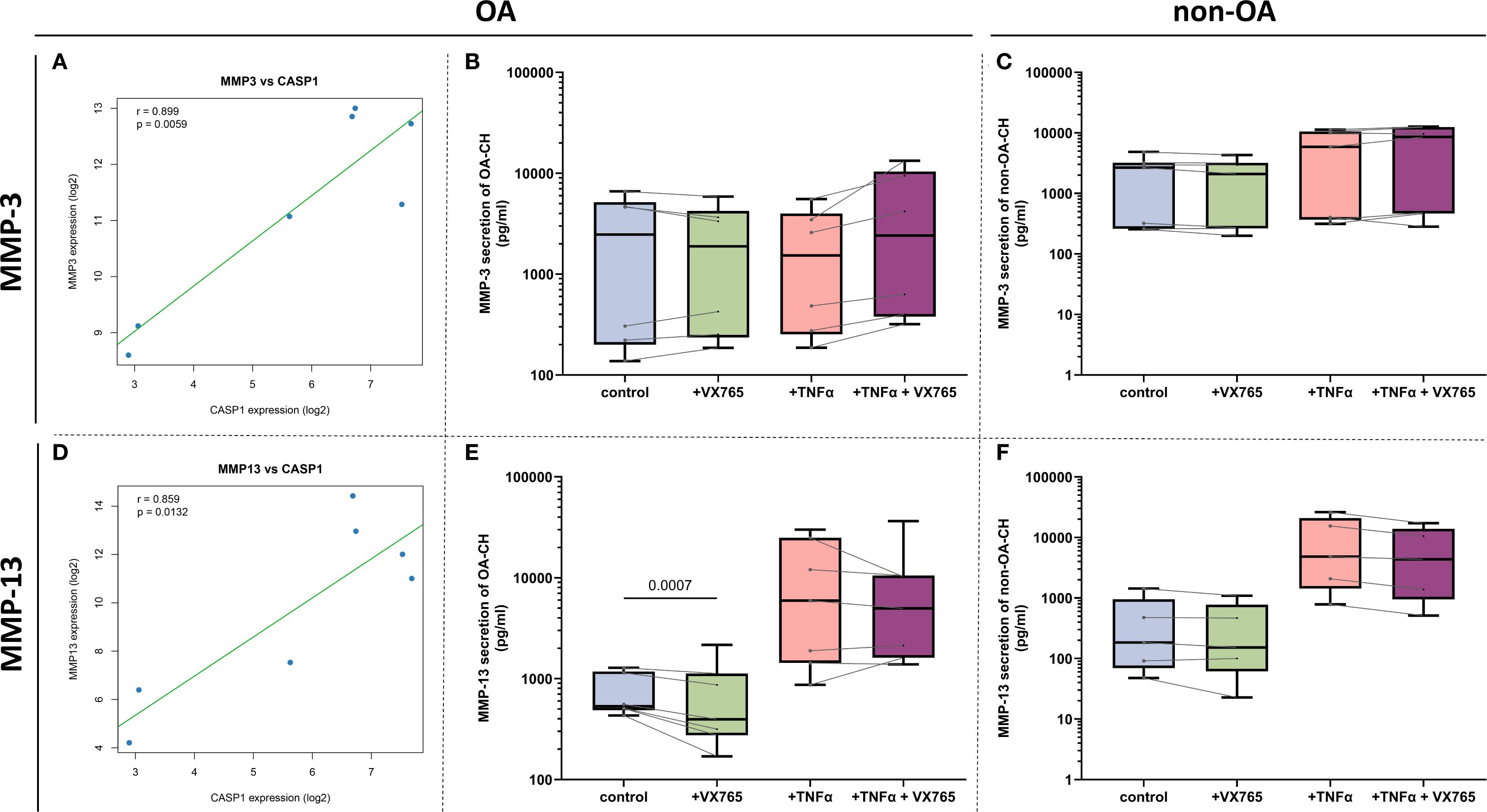 Graphs show MMP-3 and MMP-13 expression and secretion in OA and non-OA samples. Panel A displays a positive correlation between MMP-3 and CASP1 expression in OA. Panels B and C display box plots of MMP-3 secretion in control, VX765, TNFα, and TNFα + VX765 groups for OA and non-OA. Panel D shows MMP-13 vs CASP1 expression with a positive correlation in OA. Panels E and F show box plots of MMP-13 secretion in the same conditions for OA and non-OA. Significant differences are noted, such as in panel E with p = 0.0007.