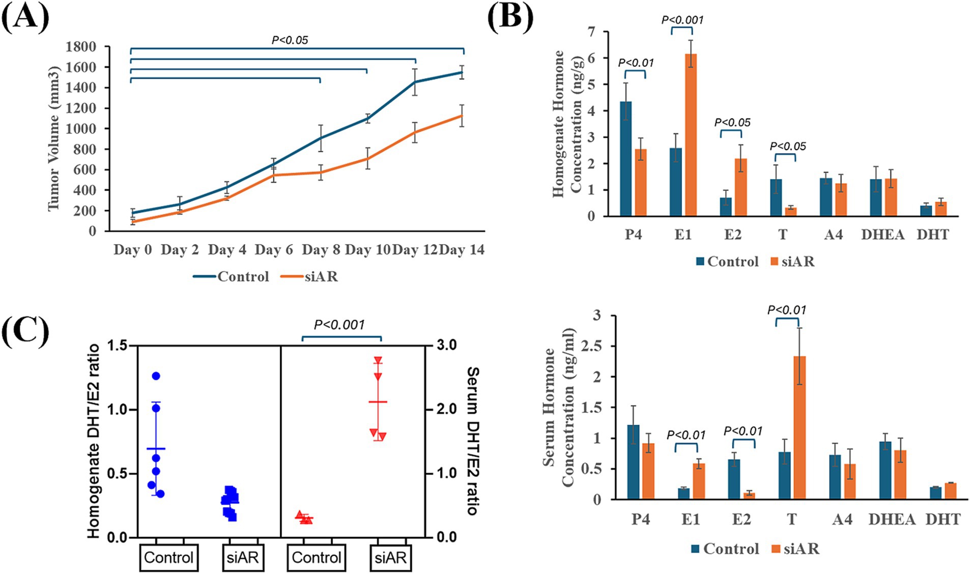 Panel (A) shows a line graph of tumor volume over 14 days, comparing control and siAR groups. Tumor growth is higher in the control group. Panel (B) presents bar charts of hormone concentrations in tissue homogenate and serum, with significant differences between control and siAR groups for multiple hormones. Panel (C) displays scatter plots of the DHT to E2 ratio in homogenate and serum, showing significant differences between groups.