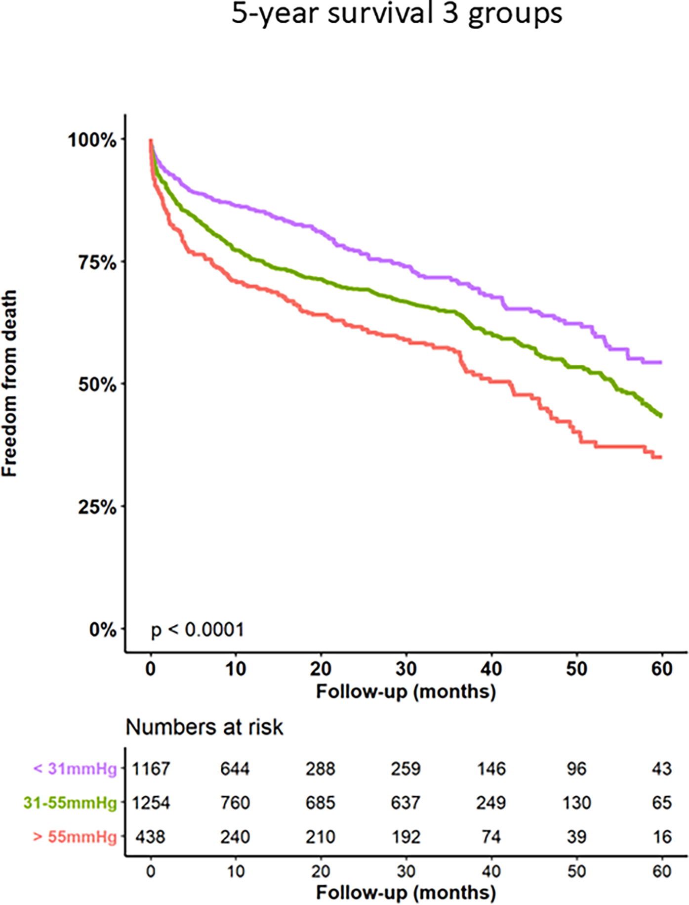 Line graph titled \"5-year survival 3 groups\" shows survival rates over 60 months for three groups based on blood pressure ranges: less than 31 mmHg (purple), 31-55 mmHg (green), and greater than 55 mmHg (red). The y-axis represents freedom from death, while the x-axis shows follow-up months. The purple line shows the highest survival, followed by green, then red. A significance level p less than 0.0001 is indicated. Below, a table lists numbers at risk for each group at various intervals.