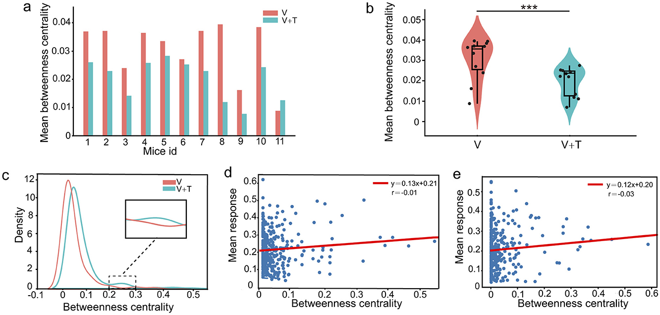 Five-panel data visualization comparing mean betweenness centrality and response across conditions. Panel a: Bar chart showing mean betweenness centrality for mice IDs under conditions V and V+T. Panel b: Violin plot comparing mean betweenness centrality between conditions V and V+T, indicating significant difference. Panel c: Density plot of betweenness centrality for V and V+T, with an inset focusing on higher values. Panels d and e: Scatter plots with regression lines showing mean response versus betweenness centrality for conditions V and V+T, respectively, with equations and correlation coefficients displayed.