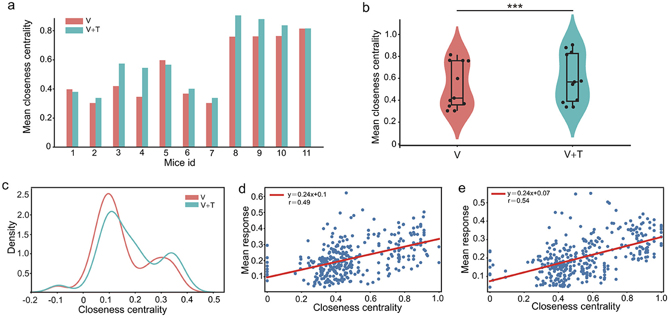 Five-panel figure showing data analysis. Panel a: Bar graph comparing mean closeness centrality for 11 mice, with groups V and V+T. Panel b: Violin plots displaying distribution of mean closeness centrality for groups V and V+T, with significant difference indicated (***). Panel c: Density plots comparing closeness centrality distribution between V and V+T. Panels d and e: Scatter plots showing correlation of mean response with closeness centrality, red lines indicating linear trends with r-values of 0.49 and 0.54 respectively.