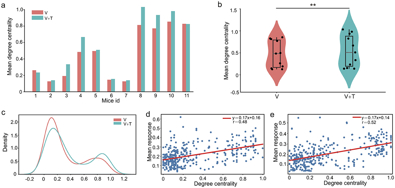 A set of graphs illustrating data on mean degree centrality and responses in different conditions for mice. (a) Bar chart showing mean degree centrality for each mouse under conditions V and V+T, with V+T generally higher. (b) Violin plot comparing mean degree centrality between conditions V and V+T, indicating a significant difference. (c) Density plot comparing distributions of mean degree centrality under V and V+T. (d) and (e) Scatter plots with regression lines showing relationships between degree centrality and mean response, with correlation coefficients and equations provided.