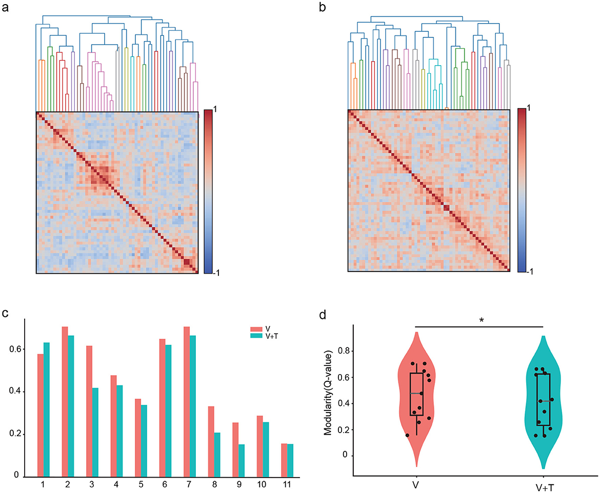Four-panel figure shows data analysis results. Panel (a) and (b) display heatmaps with cluster dendrograms, indicating data correlations with a color scale from red to blue. Panel (c) is a bar chart comparing values labeled V and V+T for eleven categories, with V in pink and V+T in teal. Panel (d) is a violin plot comparing modularity (Q value) of V and V+T, showing distributions and box plots, indicating significant difference with an asterisk.