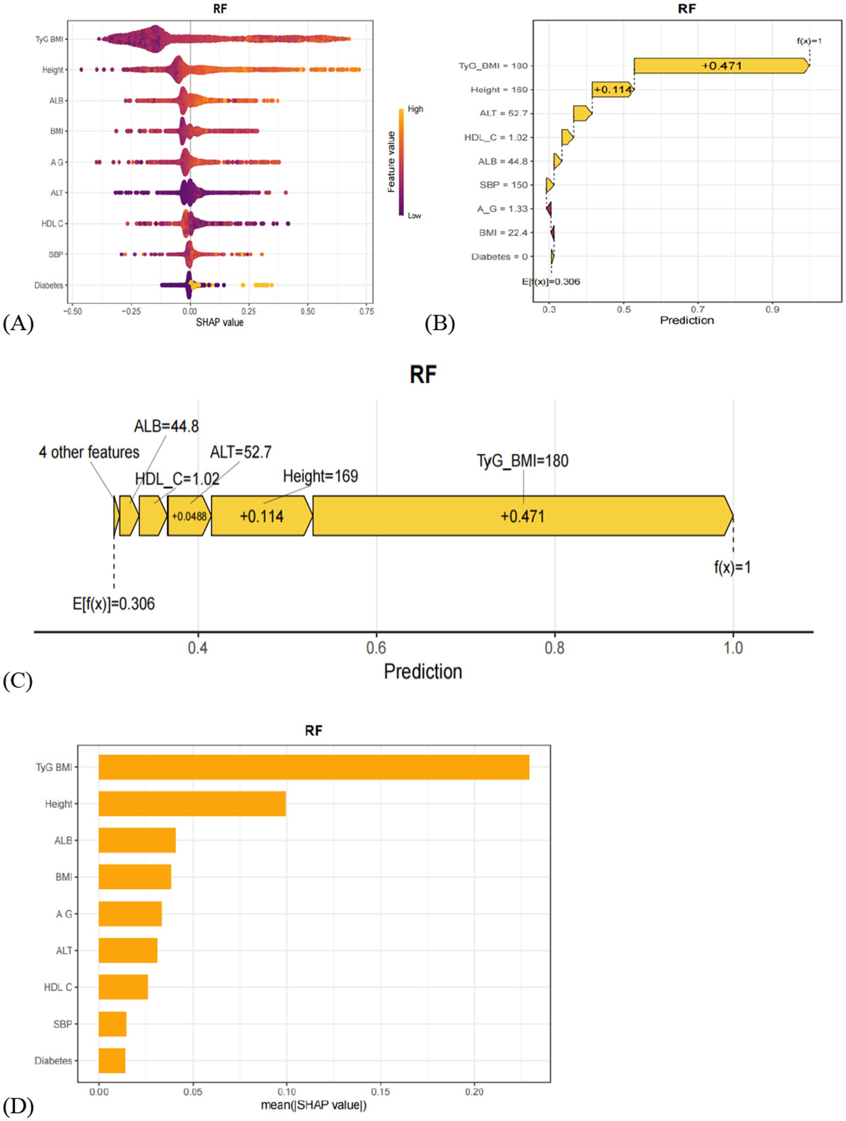 (A) A violin plot shows the SHAP values for features affecting a model's output, with TyG BMI having the highest impact. (B) A waterfall chart details individual contributions to the prediction, highlighting TyG BMI and Height as significant factors. (C) Another waterfall chart illustrates cumulative feature contributions to the prediction. (D) A bar chart ranks features by mean SHAP value, with TyG BMI and Height as the top contributors.