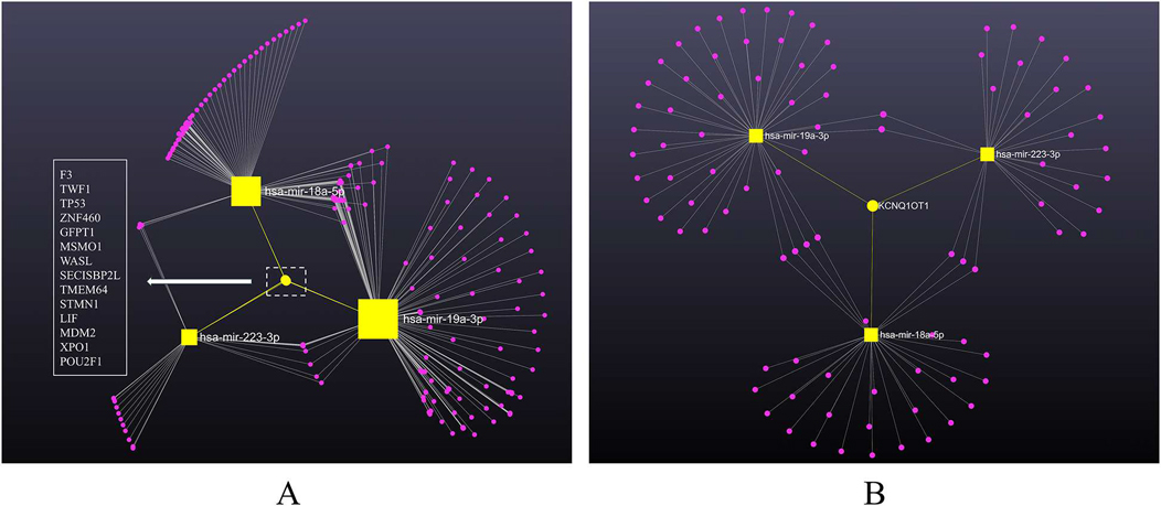 Diagram showing two network graphs (A and B) on a dark background. Graph A displays connections between nodes labeled with various gene symbols, linked primarily through three central nodes: hsa-mir-18a-5p, hsa-mir-19a-3p, and hsa-mir-223-3p. Graph B illustrates a similar network with connections centered around the hsa-mir-19a-3p, hsa-mir-223-3p, and a yellow-labeled node, KCNQ1OT1. Nodes are represented by yellow squares and circles, with connecting lines and pink nodes indicating relationships. Both graphs showcase complex gene interaction networks.