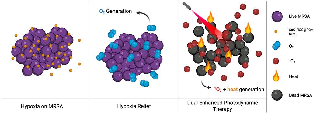 Illustration depicting three panels: First shows purple spheres labeled