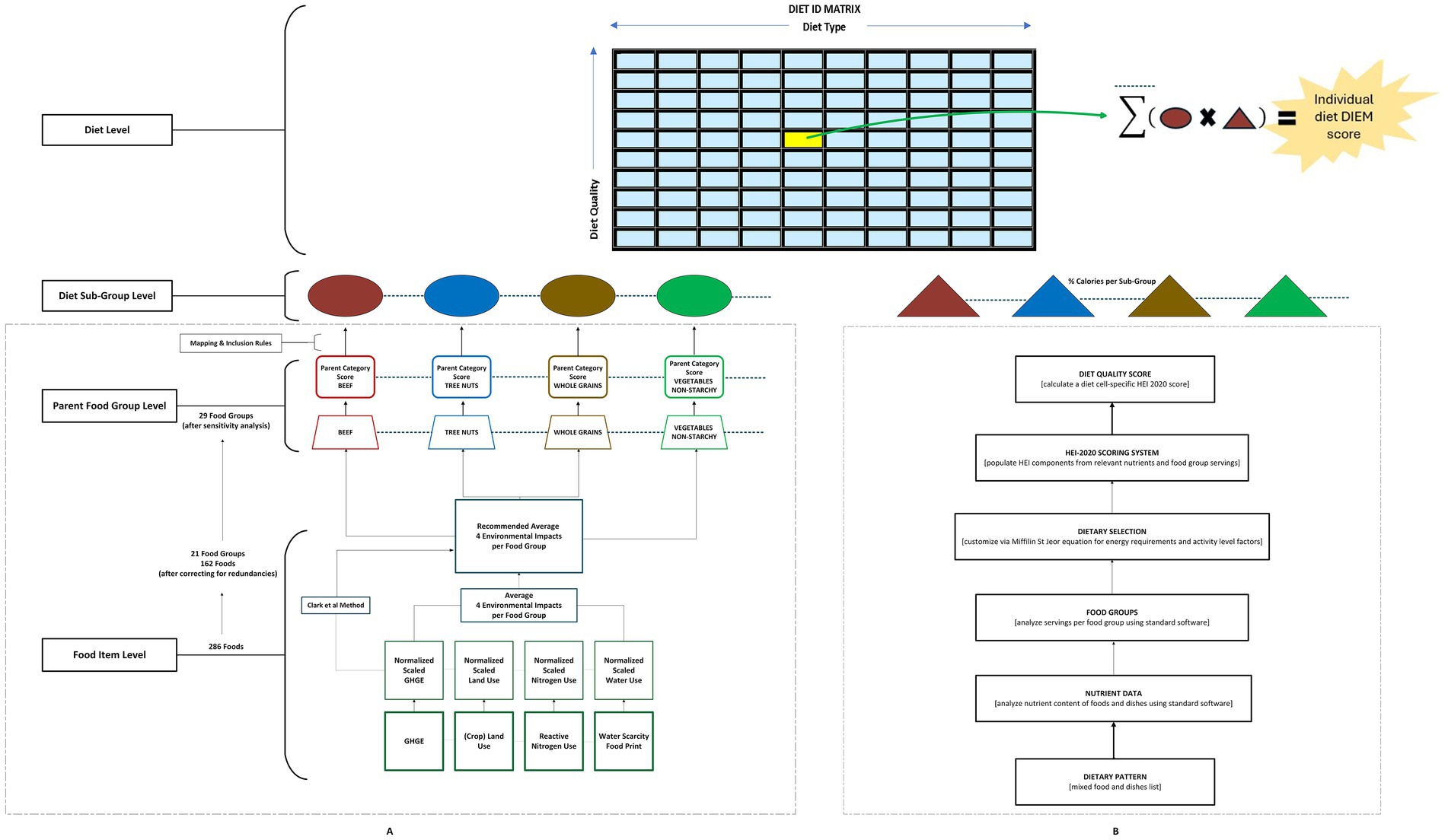 Flowchart depicting a methodology for calculating an individual diet DIEM score. On the left, a hierarchical breakdown shows various levels from food items to diet level, involving grouping and environmental impact calculations. At the top, a diet ID matrix represents diet quality and type, leading to DIEM score computation. On the right, a series of boxes describe steps like diet quality scoring, food group analysis, and dietary pattern evaluation. Various shapes and arrows indicate connections between elements.
