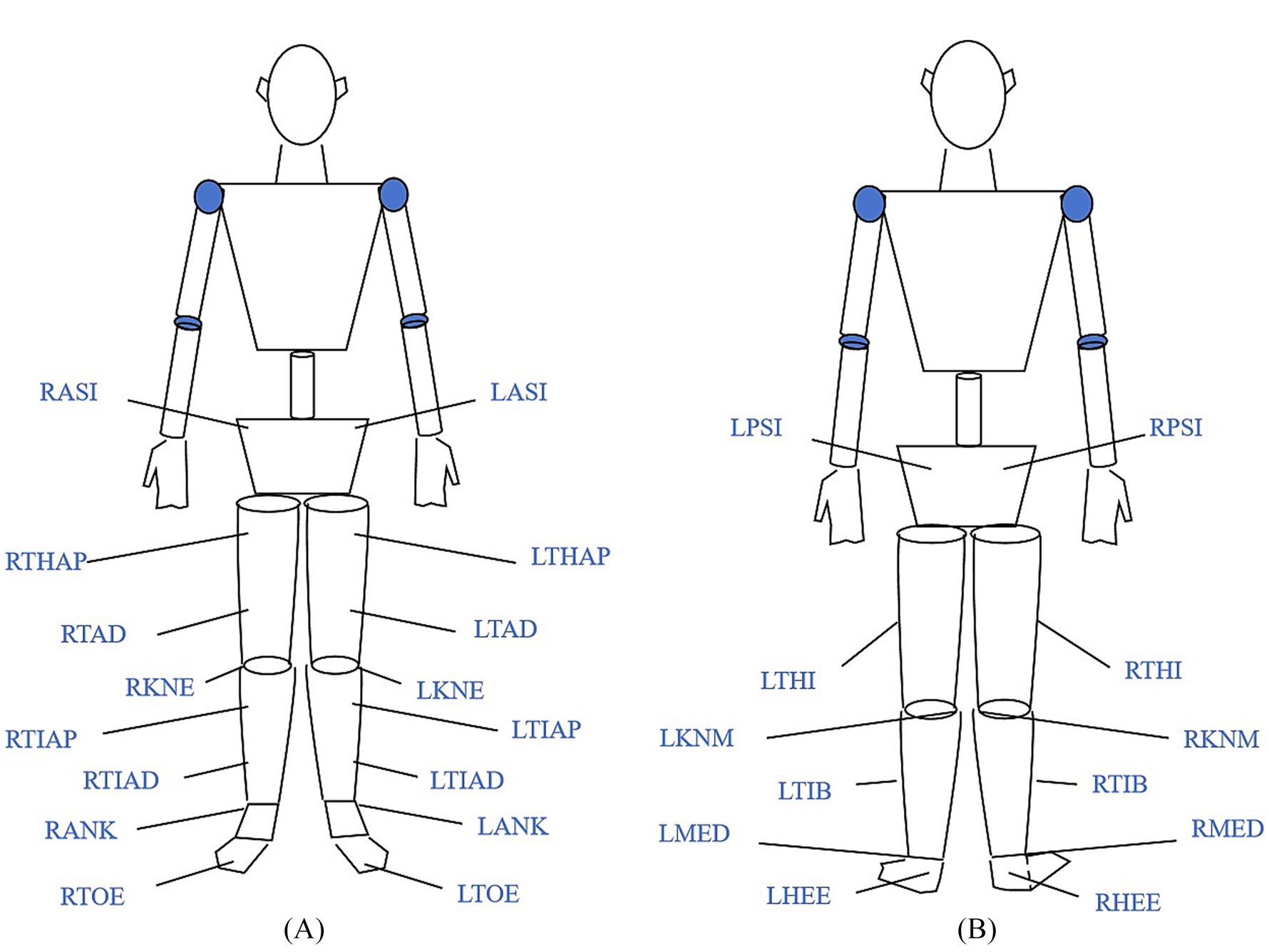 Diagram showing two human-like figures with labeled anatomical landmarks. Figure A on the left has labels for upper body, thigh, knee, leg, ankle, and toe regions, including RASI, LASI, and LTOE. Figure B on the right similarly labels body parts, including LPSI, RPSI, and RHEE. The labels detail various parts for motion capture or biomechanical analysis.