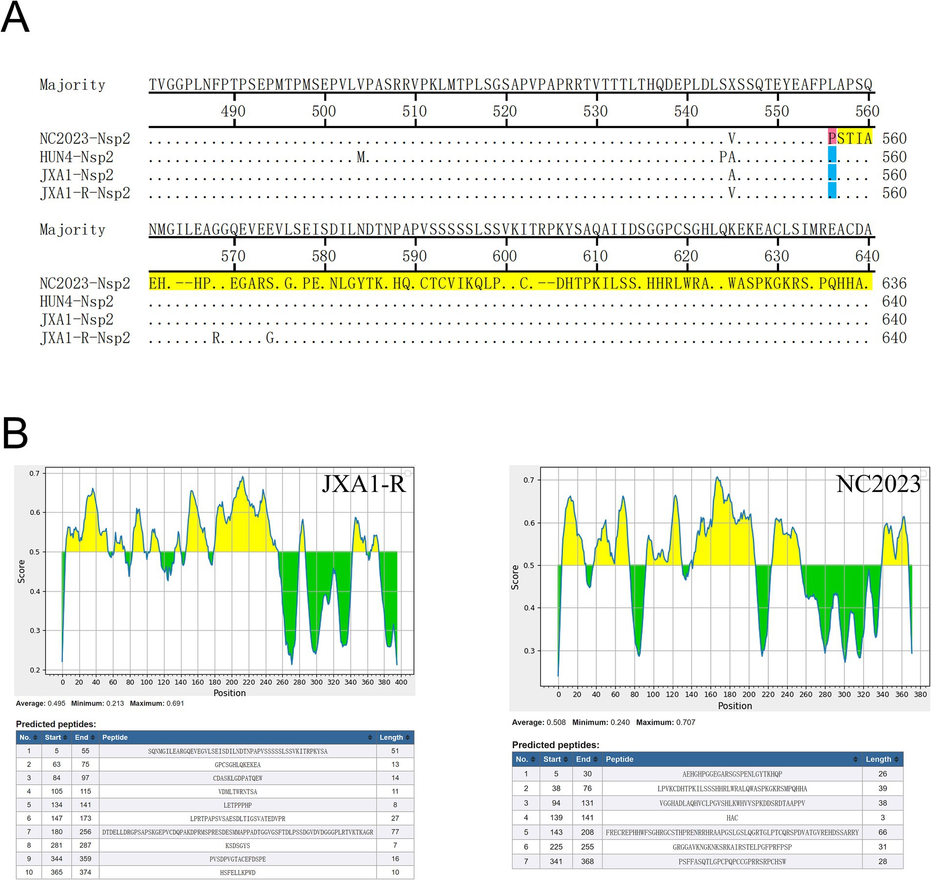 Panel A displays an amino acid sequence alignment of different Nsp2 proteins, highlighting variations and conserved regions, with specific differences marked and color-coded. Panel B includes line graphs with score versus position for JXA1-R and NC2023, indicating regions of interest, accompanied by tables of predicted peptides, their positions, and lengths.