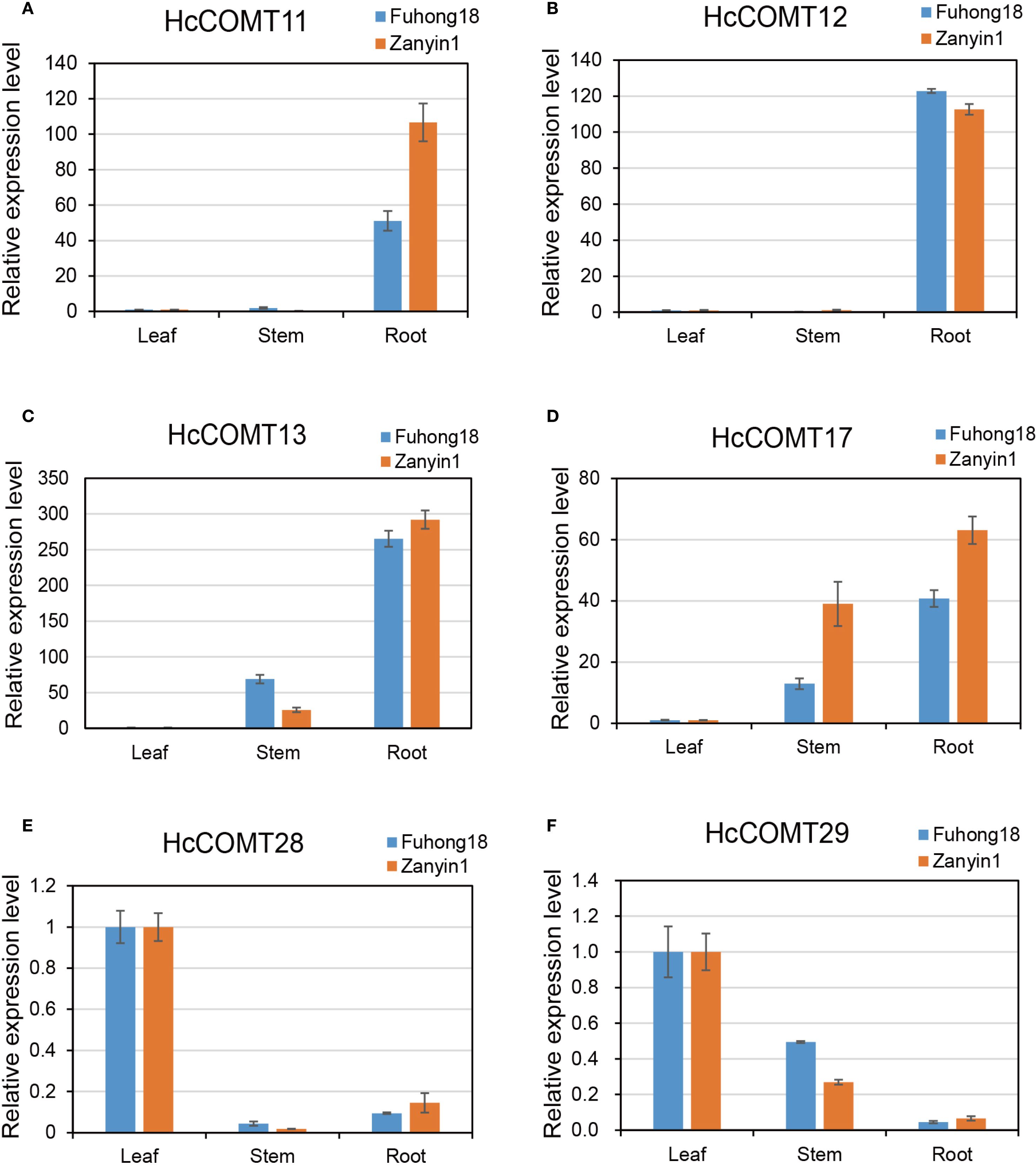Bar graphs illustrate relative expression levels of genes HcCOMT11, HcCOMT12, HcCOMT13, HcCOMT17, HcCOMT28, and HcCOMT29 in leaf, stem, and root tissues for Fuhong18 and Zanyin1. High expression is seen in root tissues across most genes, with significant variance between Fuhong18 and Zanyin1 in some cases.
