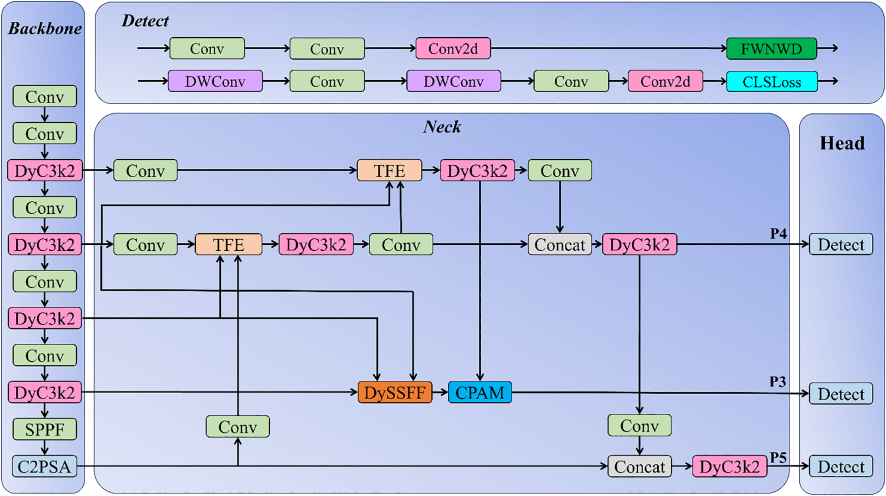 Flowchart of a deep learning model architecture with three main sections: Backbone, Neck, and Head. Backbone includes Conv and DyC3k2 layers. Neck features Conv, TFE, DyC3k2, Concat, DySSFF, and CPAM layers. Head shows connections to Detect nodes at P3, P4, and P5.