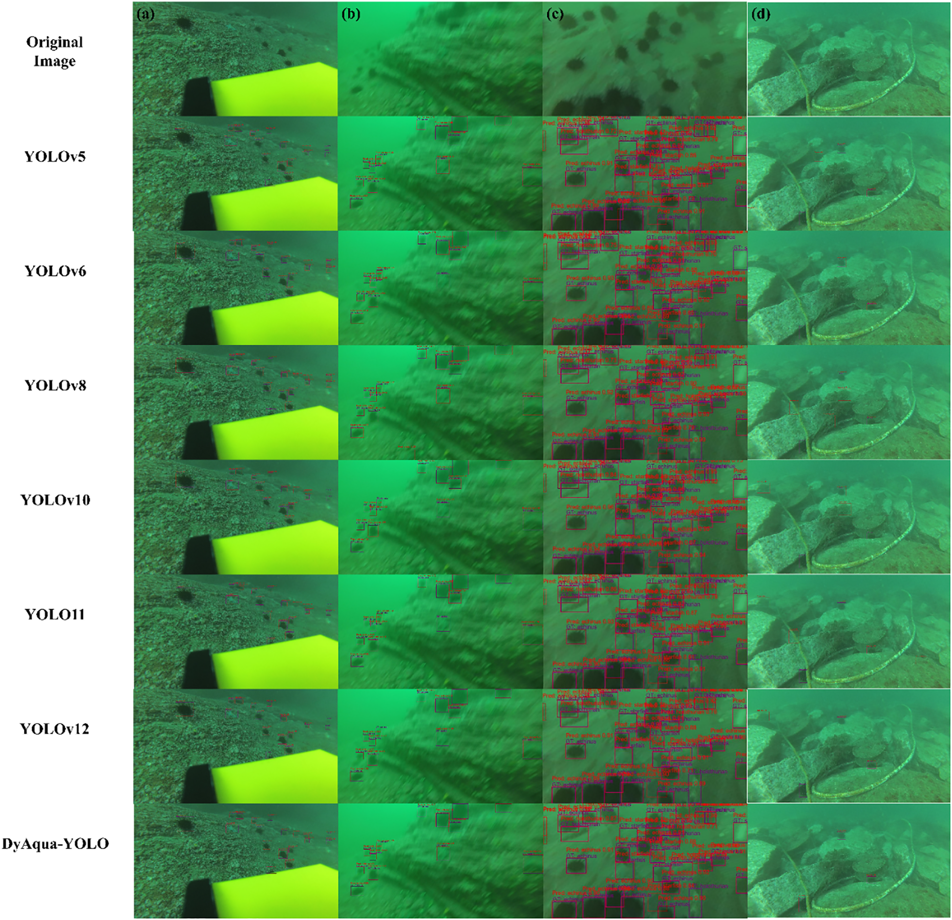 A visual comparison of detection results from multiple YOLO model variants and the proposed DyAqua-YOLO model on four distinct underwater test scenes (labeled a-d). For each original input image (shown in the first row), the corresponding output detections with bounding boxes are displayed for YOLOv5, YOLOv6, YOLOv8, YOLOv10, YOLO11, YOLOv12, and DyAqua-YOLO. The results demonstrate DyAqua-YOLO's superior capability in minimizing both missed detections and false positives across various challenging conditions, including small objects, occlusion, turbidity, and complex backgrounds.