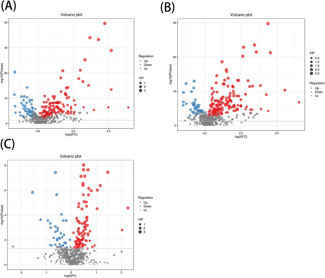 Three volcano plots labeled A, B, and C. Each plot shows log2 fold changes on the x-axis and negative log10 p-values or q-values on the y-axis. Red points represent upregulated data, blue for downregulated, and gray for non-significant values. Points vary in size representing VIP scores. Plot A and C display similar layouts with a wider range of y-values, while B has a narrower range.