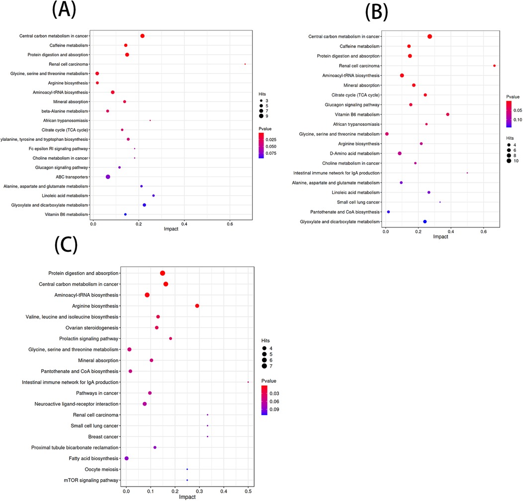 Three bubble plots labeled (A), (B), and (C) showcase pathway impact analysis. The x-axis represents impact, and the y-axis lists various pathways. Bubble size indicates the number of hits, while color reflects p-values, with red being more significant. Plot (A) shows pathways like caffeine metabolism and arginine biosynthesis. Plot (B) highlights central carbon metabolism. Plot (C) emphasizes protein digestion.