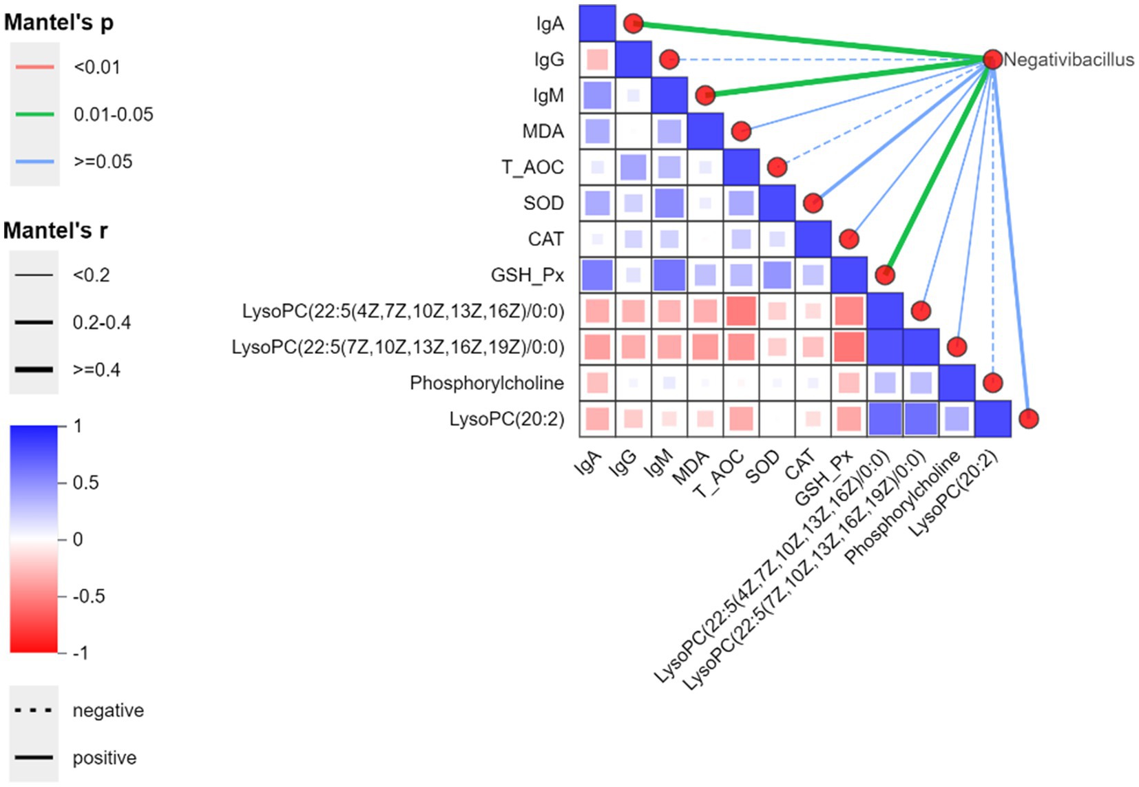 A heatmap displays correlations between various biological markers, such as IgA, IgG, and others, using Mantel's p and r values. Colors indicate correlation strength from red (negative) to blue (positive), while line thickness represents significance levels. Red circles highlight connections to