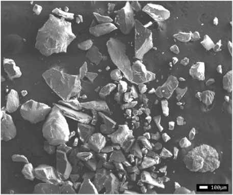 Scanning Electron Microscope (SEM) image showing irregularly shaped particles scattered across the surface. The particles vary in size, and the scale bar indicates a measurement of one hundred micrometers.