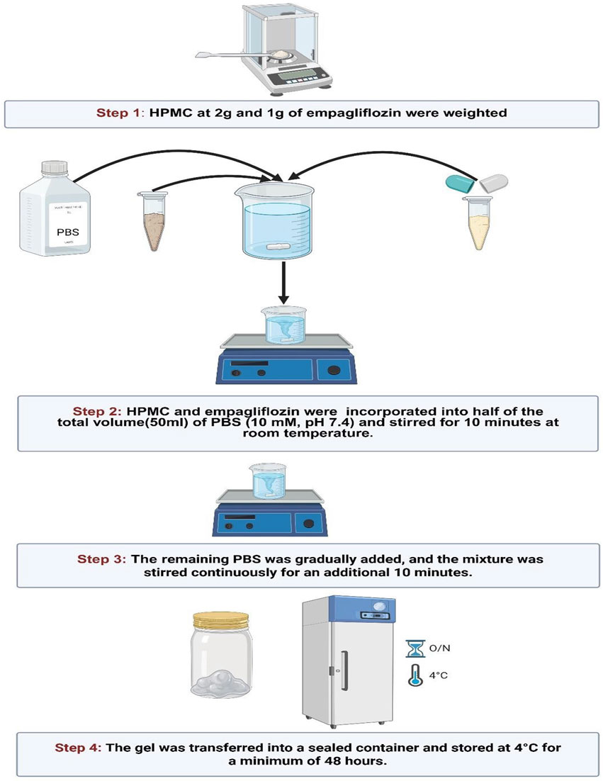 Flowchart illustrating the preparation of empagliflozin hydrogel. Step 1: Two grams of HPMC and one gram of empagliflozin are weighed. Step 2: Both are incorporated into half of fifty milliliters of PBS (pH 7.4) and stirred for ten minutes. Step 3: The remaining PBS is added, stirring continues for ten more minutes. Step 4: The gel is transferred to a sealed container and stored at four degrees Celsius for at least forty-eight hours.