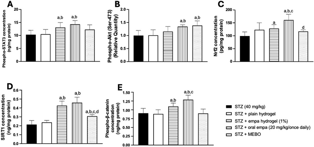 Bar charts (A–E) depicting concentrations of various proteins: Phospho-STAT3, Phospho-Akt, Nrf2, SIRT1, and Phospho-β-catenin. Five treatment groups are compared: STZ (40 mg/kg), STZ with plain hydrogel, STZ with empa hydrogel (1%), STZ with oral empa (20 mg/kg daily), and STZ with MEBO. Statistical annotations (a, b, c, d) indicate significance levels between groups.