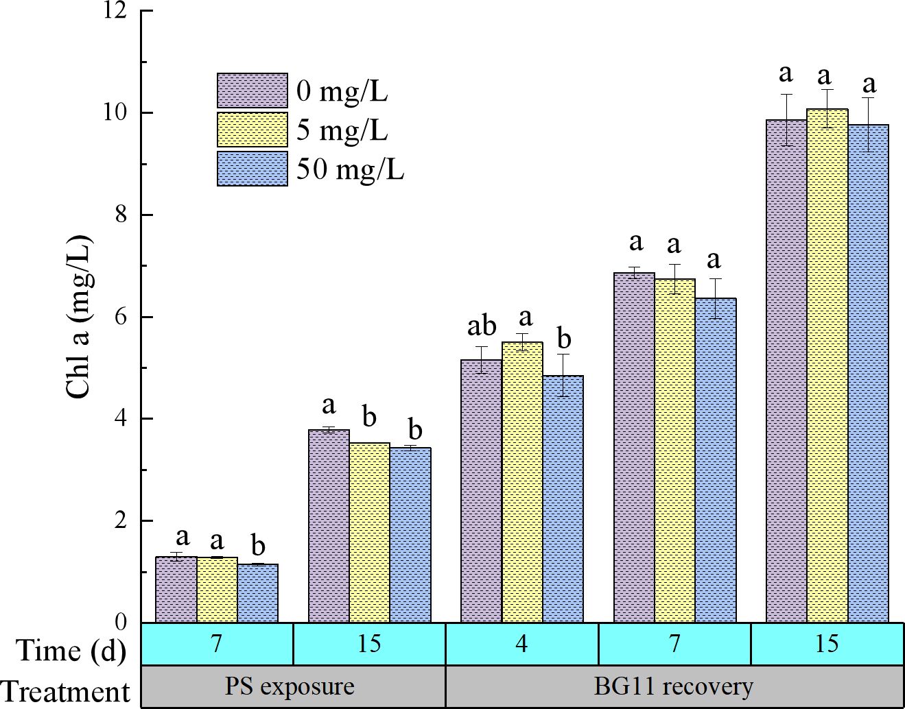 Bar graph showing chlorophyll a (Chl a) levels in milligrams per liter for treatments at 0, 5, and 50 milligrams per liter over time. Data is recorded at 7 and 15 days during PS exposure and 4, 7, and 15 days during BG11 recovery. Different letters indicate significant differences between treatments.