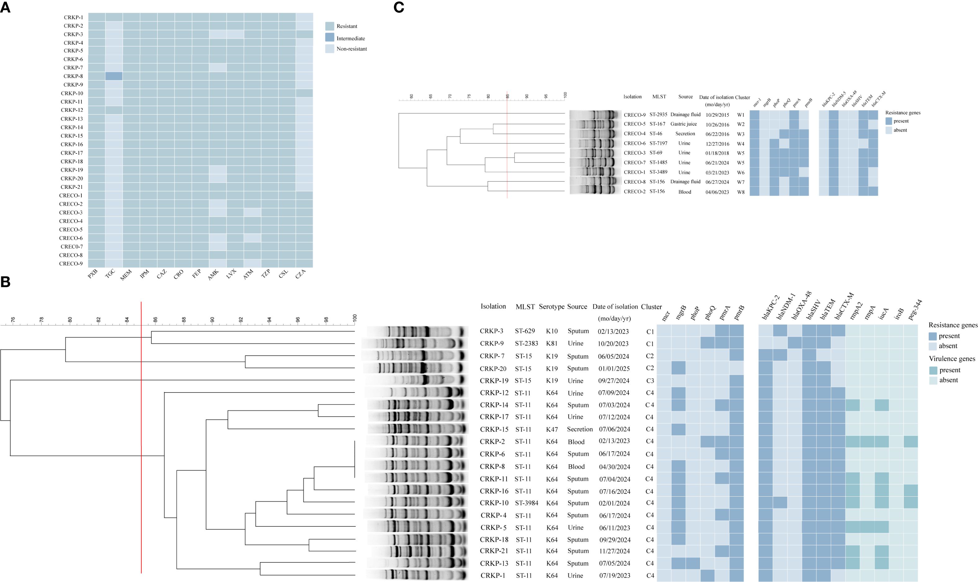 Panel A shows a heatmap indicating resistance levels of various strains to different antibiotics, categorized as resistant, intermediate, or non-resistant. Panel B displays a dendrogram illustrating the hierarchical clustering of strains based on genetic similarity, accompanied by a heatmap of resistance and virulence genes. Panel C includes another dendrogram comparing additional strains, with a heatmap highlighting presence or absence of resistance genes. Data includes isolation sources, dates, and clusters, enhancing the understanding of genetic and phenotypic relationships.