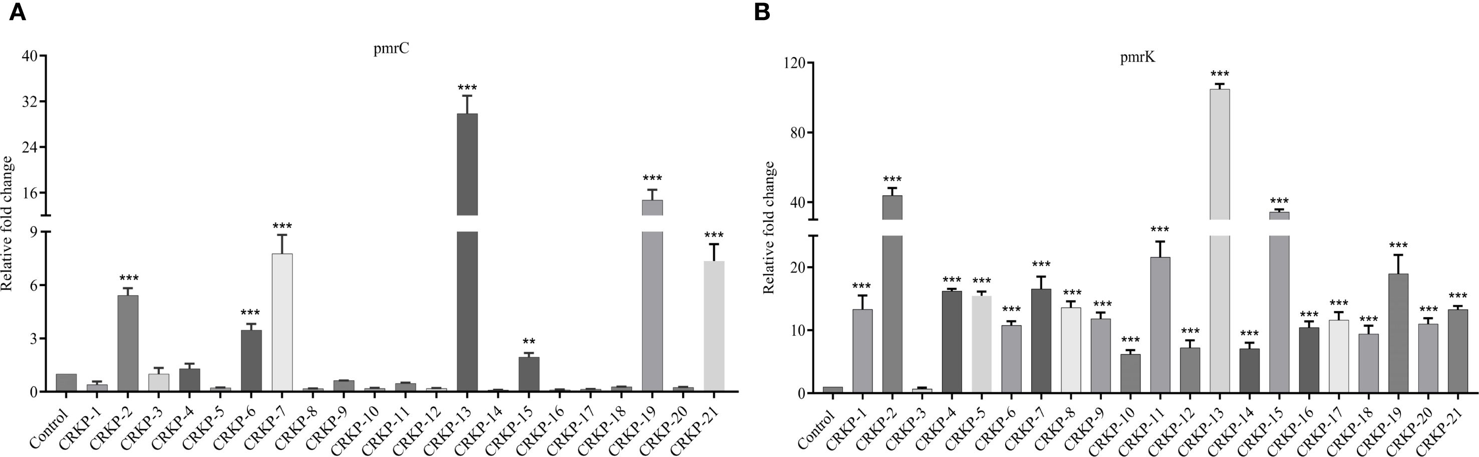 Bar charts showing relative fold change in expression levels of pmrC and pmrK genes. Chart A for pmrC shows highest values in CRKP-13. Chart B for pmrK shows highest values in CRKP-13, with significant changes in multiple groups. Statistical significance indicated.