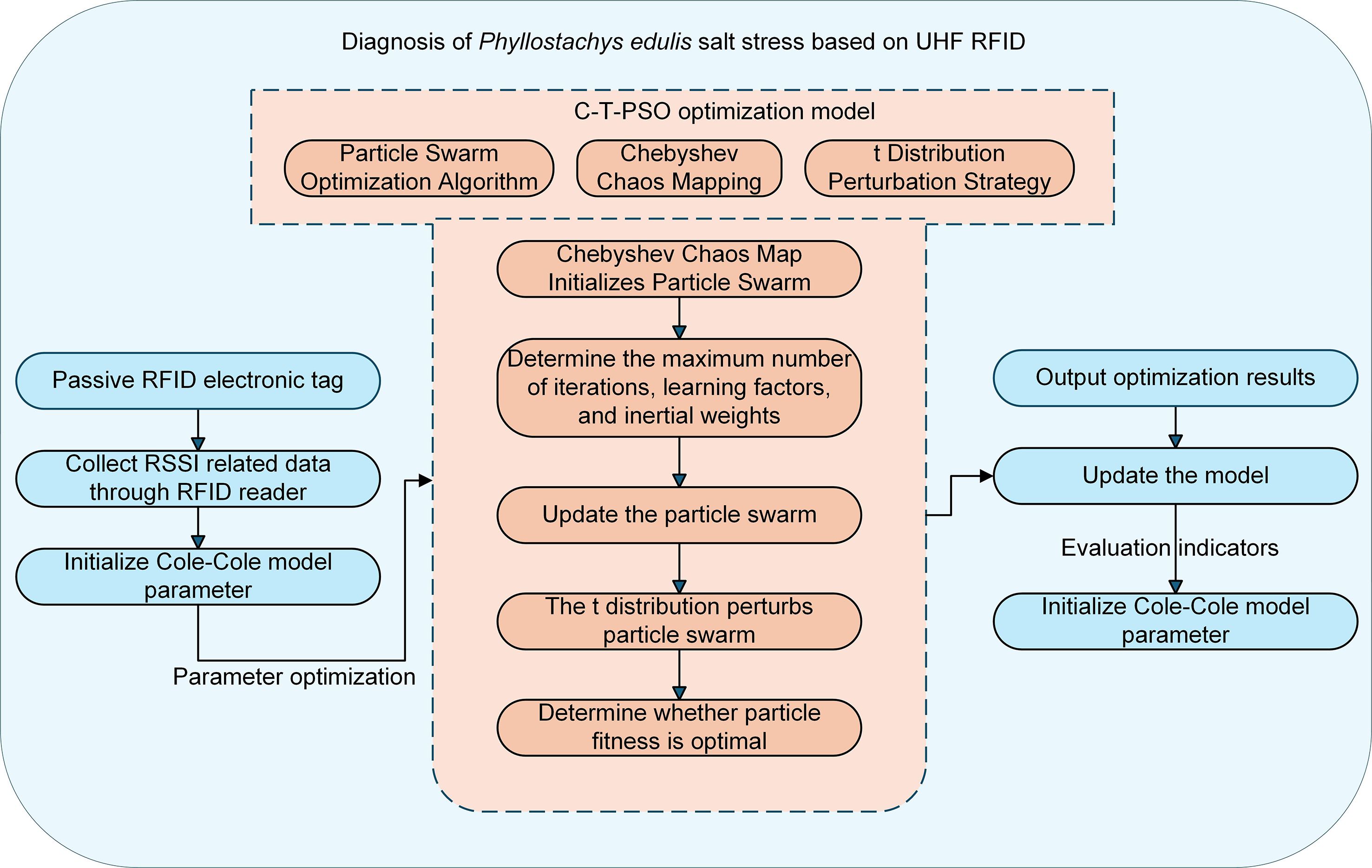 Flowchart illustrating the diagnosis of Phyllostachys edulis salt stress using UHF RFID. It shows a C-T-PSO optimization model, including a particle swarm optimization algorithm, Chebyshev chaos mapping, and a t distribution perturbation strategy. Steps involve initializing particle swarm, setting parameters, updating swarm, perturbing with t distribution, and determining optimal fitness. Passive RFID tags collect data to initialize the Cole-Cole model, followed by outputting results and updating the model. Parameter optimization links these processes.