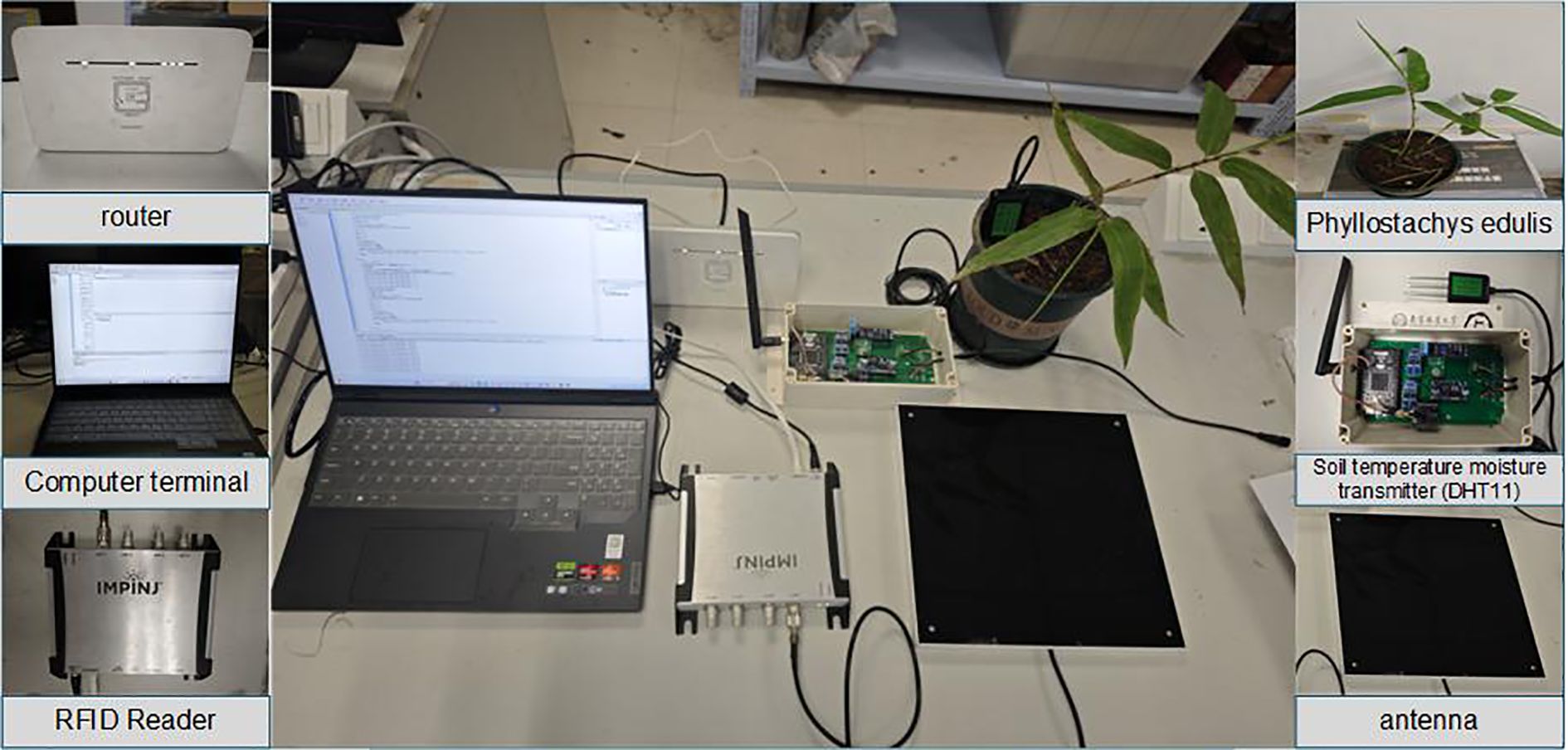 A laboratory setup with a laptop displaying code, a router, an RFID reader, and a soil temperature moisture transmitter. A potted Phyllostachys edulis plant and an antenna are also present on the table.