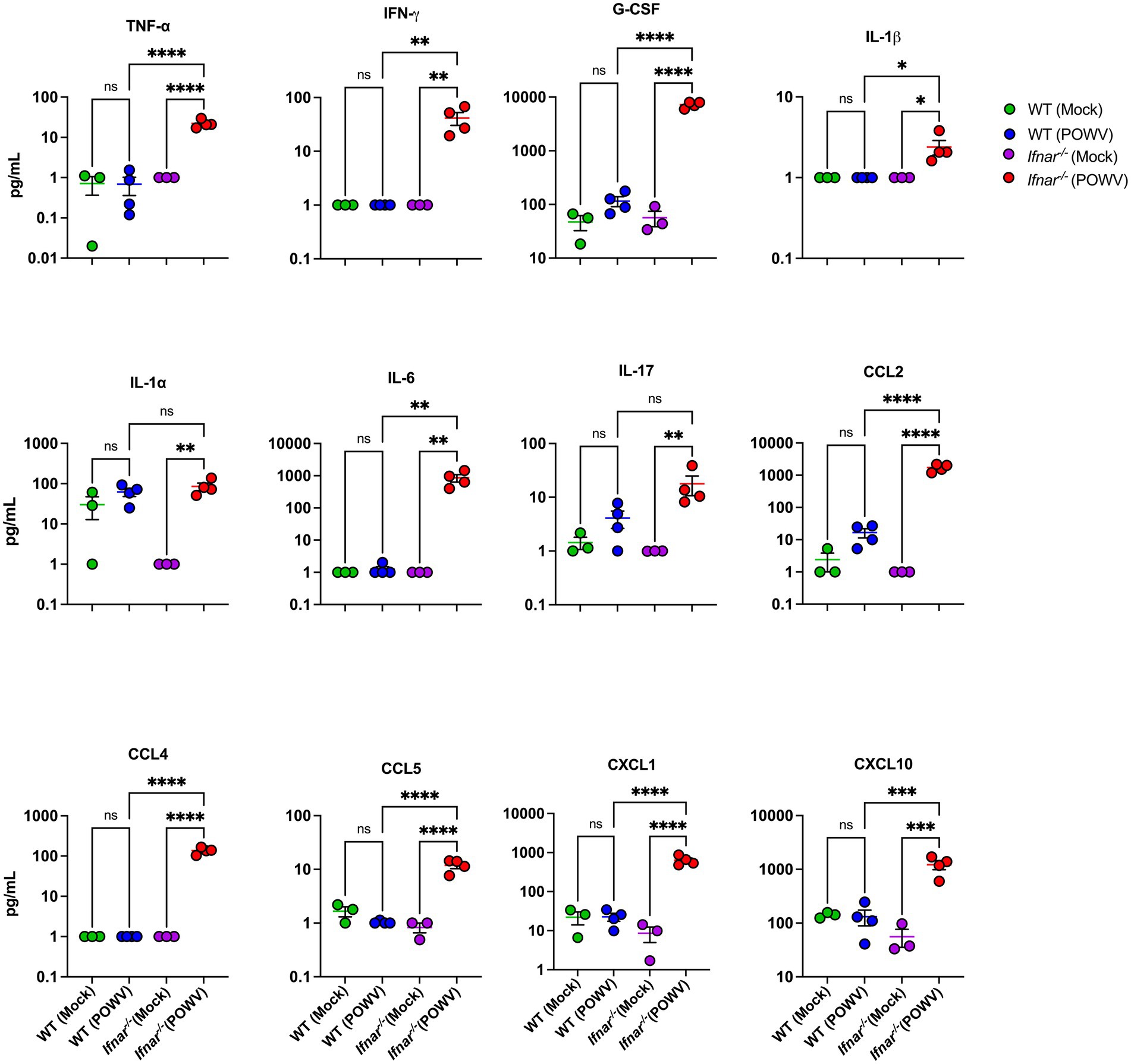 Nine scatter plots depict cytokine and chemokine levels (pg/mL) for groups: WT (Mock), WT (POWV), Ifnar⁻/⁻ (Mock), and Ifnar⁻/⁻ (POWV). Each plot shows significant differences between groups, indicated by asterisks: TNF-α, IFN-γ, G-CSF, IL-1β, IL-1α, IL-6, IL-17, CCL2, CCL4, CCL5, CXCL1, and CXCL10. Measurements vary across axes due to data ranges. Statistical significance is marked with ns, *, **, ***, or ****.