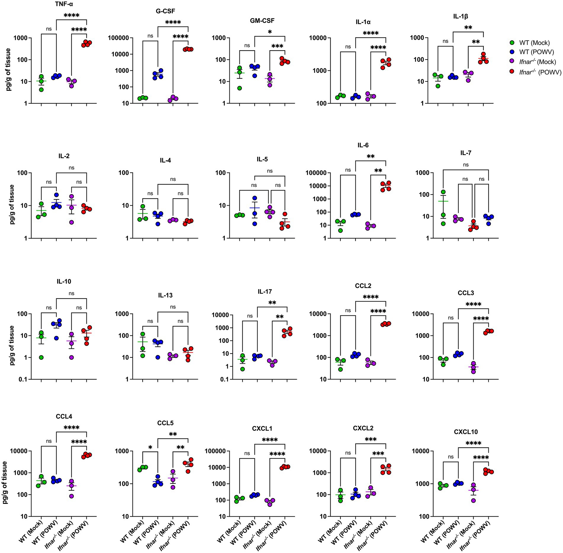 Bar graphs comparing levels of various cytokines and chemokines, including TNF-α, G-CSF, GM-CSF, IL-1α, IL-1β, IL-2, IL-4, IL-5, IL-6, IL-7, IL-10, IL-13, IL-17, CCL2, CCL3, CCL4, CCL5, CXCL1, CXCL2, and CXCL10. Data are shown for different groups: WT (Mock), WT (POWV), Ifnar⁻/⁻ (Mock), Ifnar⁻/⁻ (POWV) with significance indicated by asterisks. Y-axis represents pg/g of tissue on a logarithmic scale.