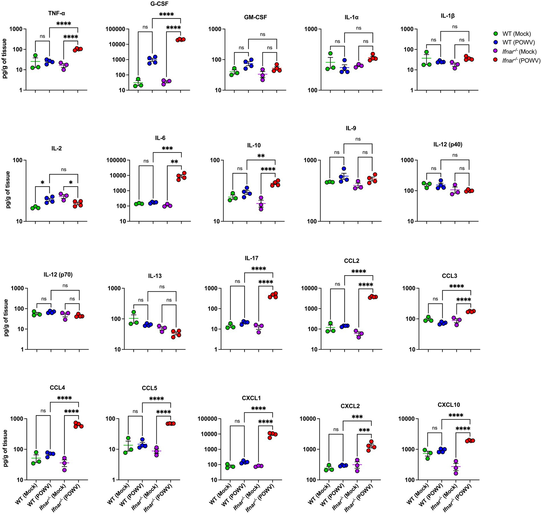 Data visualization displays cytokine levels in pg/g of tissue across various samples: WT (Mock), WT (POWV), Ifnar⁻/⁻ (Mock), and Ifnar⁻/⁻ (POWV). Each graph shows significant differences between groups for TNF-α, G-CSF, GM-CSF, IL-1α, IL-1β, IL-2, IL-6, IL-10, IL-12, IL-9, IL-17, CCL2, CCL3, CCL4, CCL5, CXCL1, CXCL2, and CXCL10. Statistical significance is marked by asterisks: ns (not significant), *, **, ***, and ****.
