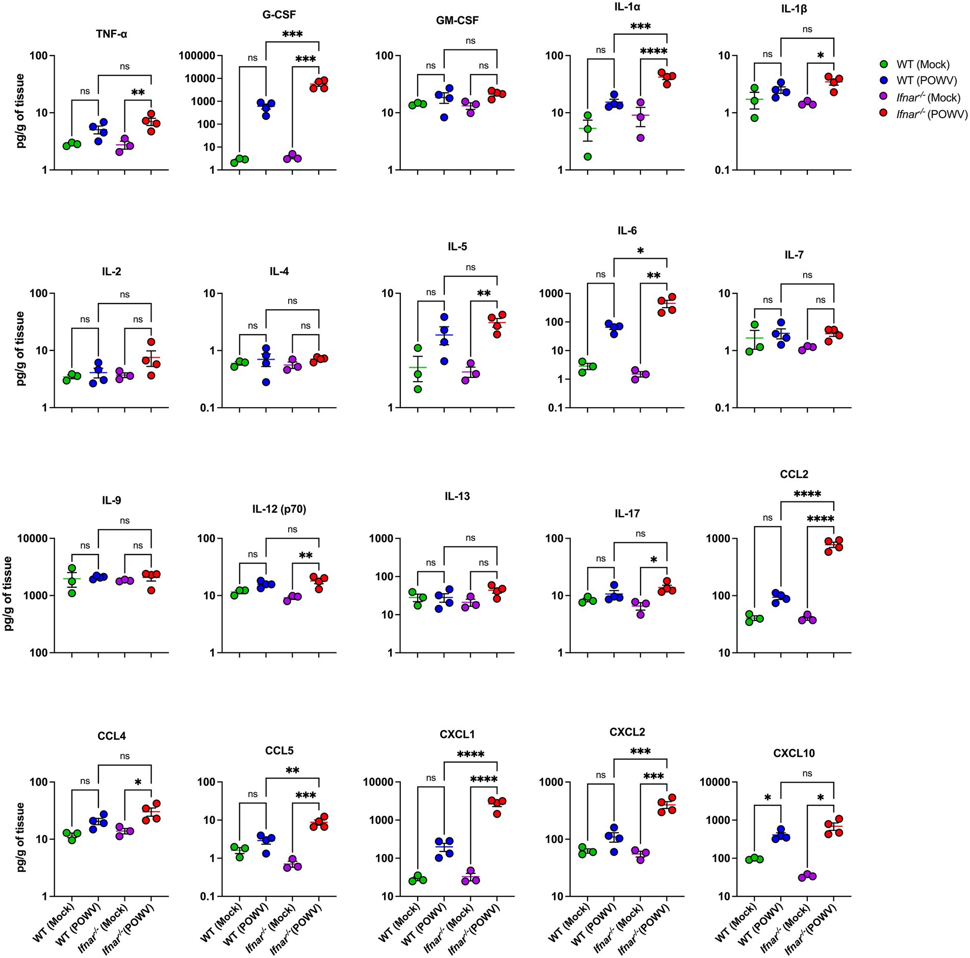 Graphs display cytokine and chemokine levels in pg/g across various conditions: WT (Mock, POWV) and Ifnar−/− (Mock, POWV). Significant differences use asterisks: * p<0.05, ** p<0.01, *** p<0.001, **** p<0.0001, ns denotes not significant. Multiple analytes such as TNF-α, IL-1α, IL-5, and others are compared, showing variable responses based on the experimental conditions.