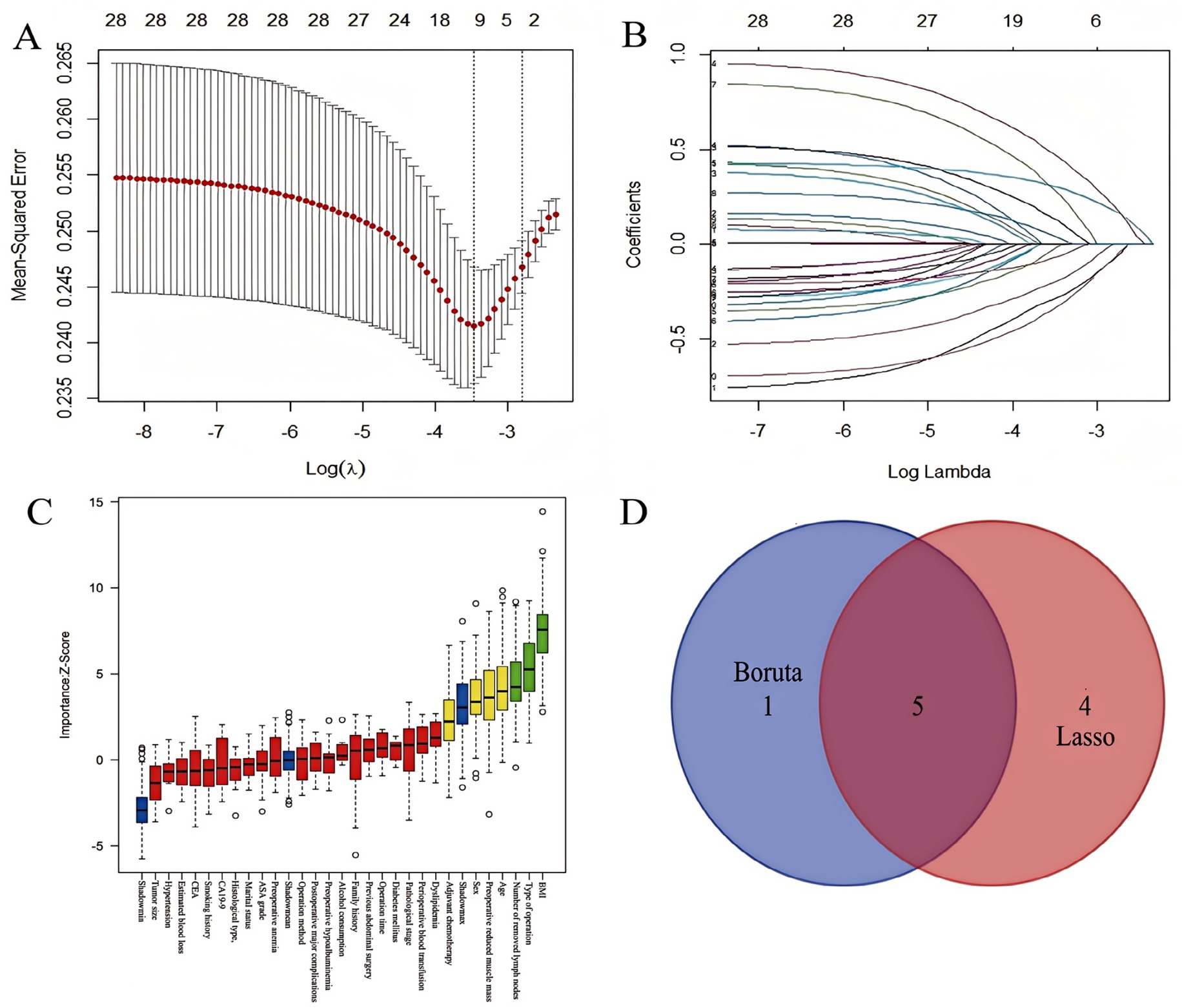 A panel of four images displays data analysis for feature selection. A) A plot shows mean-squared error against log of lambda, with a curve indicating the error trend. B) A coefficient path diagram illustrates changes across log lambda values. C) A box plot ranks features by importance Z score, with varying colors representing different feature sets. D) A Venn diagram compares feature selection by Boruta and Lasso methods, indicating five common features, with Boruta and Lasso selecting one and four unique features respectively.