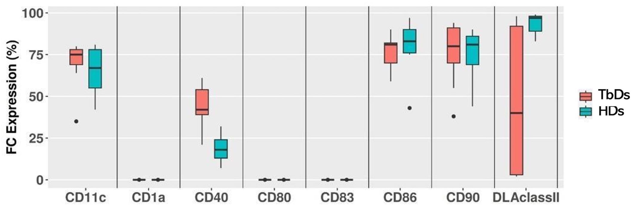 Box plot comparing FC expression percentages of markers CD11c, CD1a, CD40, CD80, CD83, CD86, CD90, and DLA class II between TbDs (red) and HDs (blue).