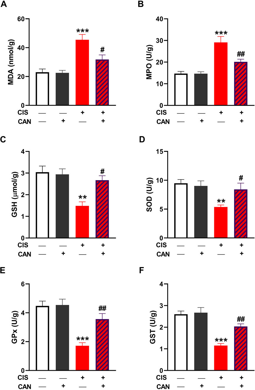 Bar graphs labeled A to F showing different biochemical parameter levels under four conditions: Control, CAN, CIS, and CAN+CIS. Graph A shows MDA levels, B shows MPO activity, C shows GSH levels, D shows SOD activity, E shows GPx activity, and F shows GST activity. Red bars indicate significant changes, with *** and ** indicating p<0.001 and p<0.01, respectively. Striped bars indicate the CAN+CIS condition with significant recovery, marked as # or ##. Each graph measures parameters in different units.
