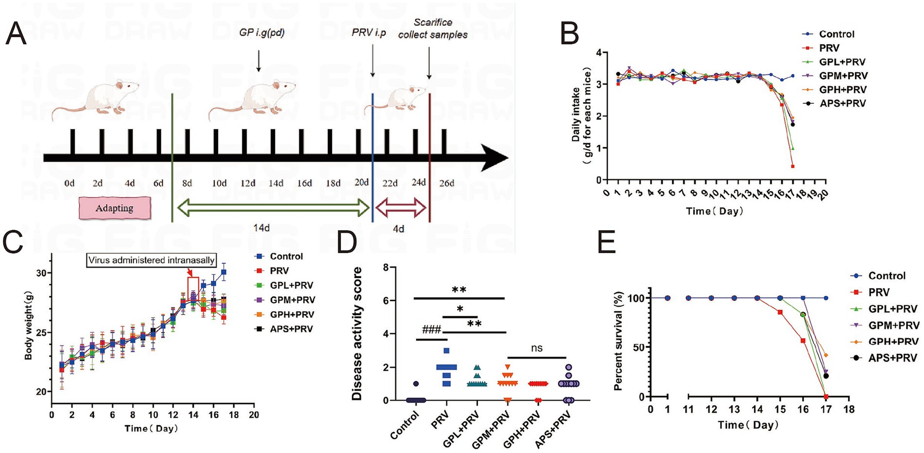 Experiment illustration with graphs and timelines detailing a study on mice. Panel A shows a timeline of mice treatment over 26 days, including adapting, treatment, and sample collection phases. Panel B features a line graph of daily intake in grams per day over 20 days, with various treatment groups. Panel C presents a line graph of body weight in grams over time, indicating intranasal virus administration. Panel D displays a scatter plot of disease activity scores for different groups, highlighting significant differences. Panel E shows a survival percentage line graph over 18 days for the control and various treated groups.