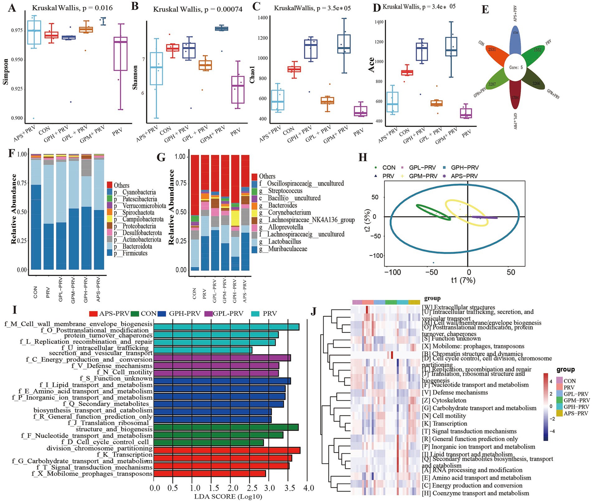 Multiple graphs and charts depict microbial diversity and function across different groups labeled as CON, GPL-PRV, GPH-PRV, GPM-PRV, APS-PRV, and PRV. Panels A-D show box plots with diversity indices: Simpson, Shannon, Chao, and ACE, with p-values indicated. Panel E is a Venn diagram showing core and unique features. Panels F-G display stacked bar charts of relative abundance at phylum and genus levels. Panel H presents a PCA plot with clusters. Panel I illustrates a bar graph of LDA scores for functional categories. Panel J is a heatmap showing the distribution of various functional groups.