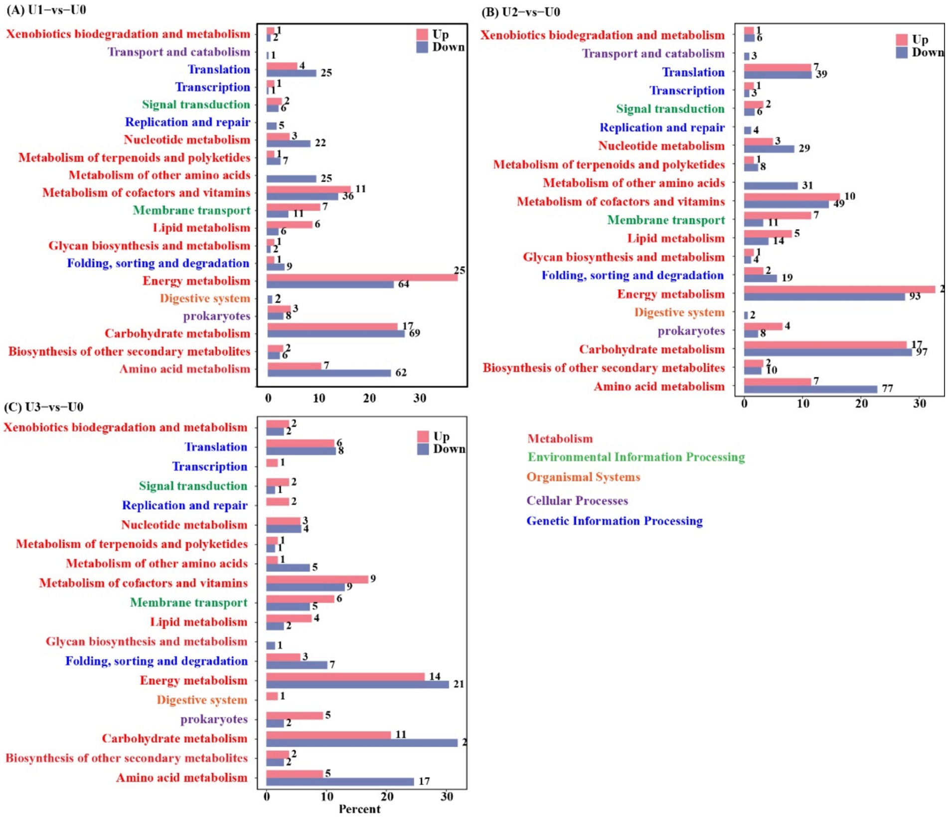Three bar graphs labeled A, B, and C compare changes in various metabolic and cellular processes. Processes are color-coded by category: Metabolism (red), Environmental Information Processing (blue), Organismal Systems (green), Cellular Processes (orange), and Genetic Information Processing (purple). Each graph shows the percentage of increase (Up) and decrease (Down) for processes like xenobiotics biodegradation, energy metabolism, and amino acid metabolism across conditions U1, U2, and U3 versus U0.